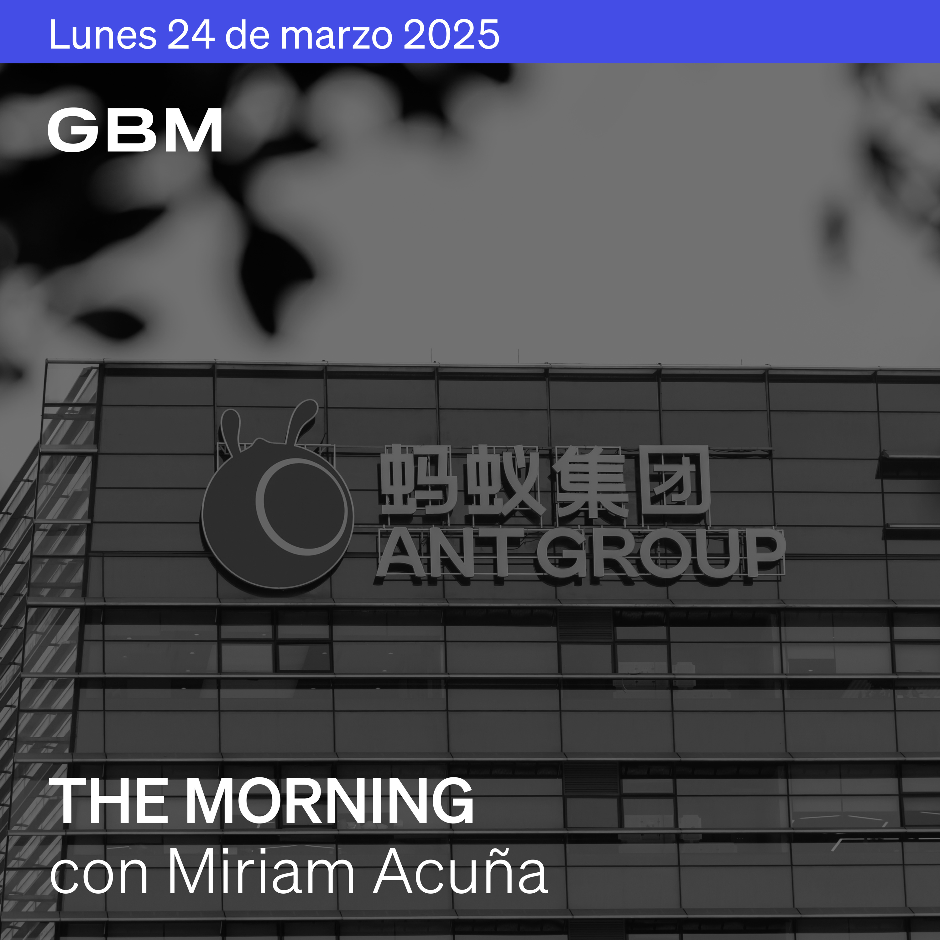 THE MORNING 24-03-25 | Aranceles podrían ser más moderados, Inflación y Banxico en la mira. Además: Canadá, Turquía, Ant Group, BYD, AGUILAS. episode artwork