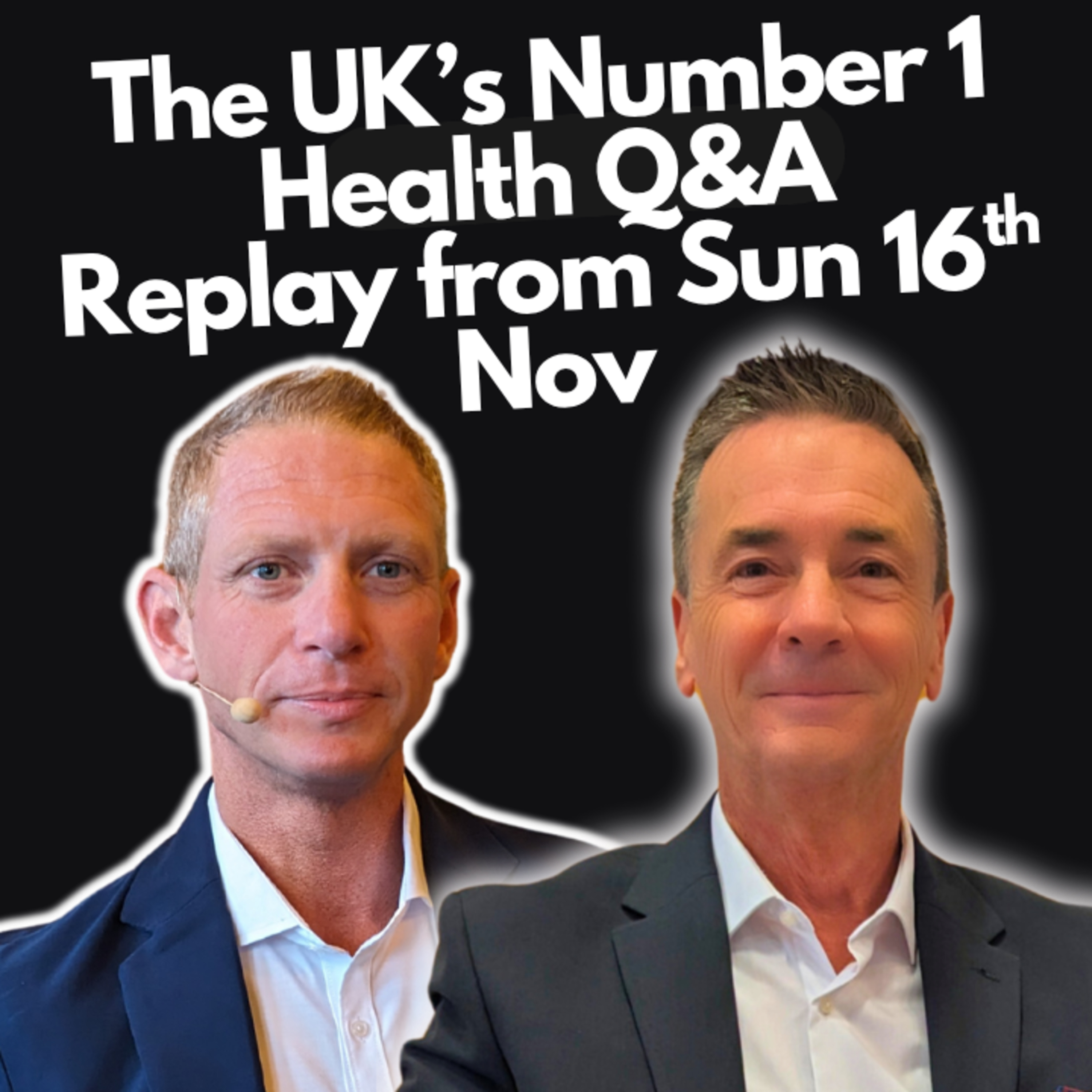 the carnivore experience