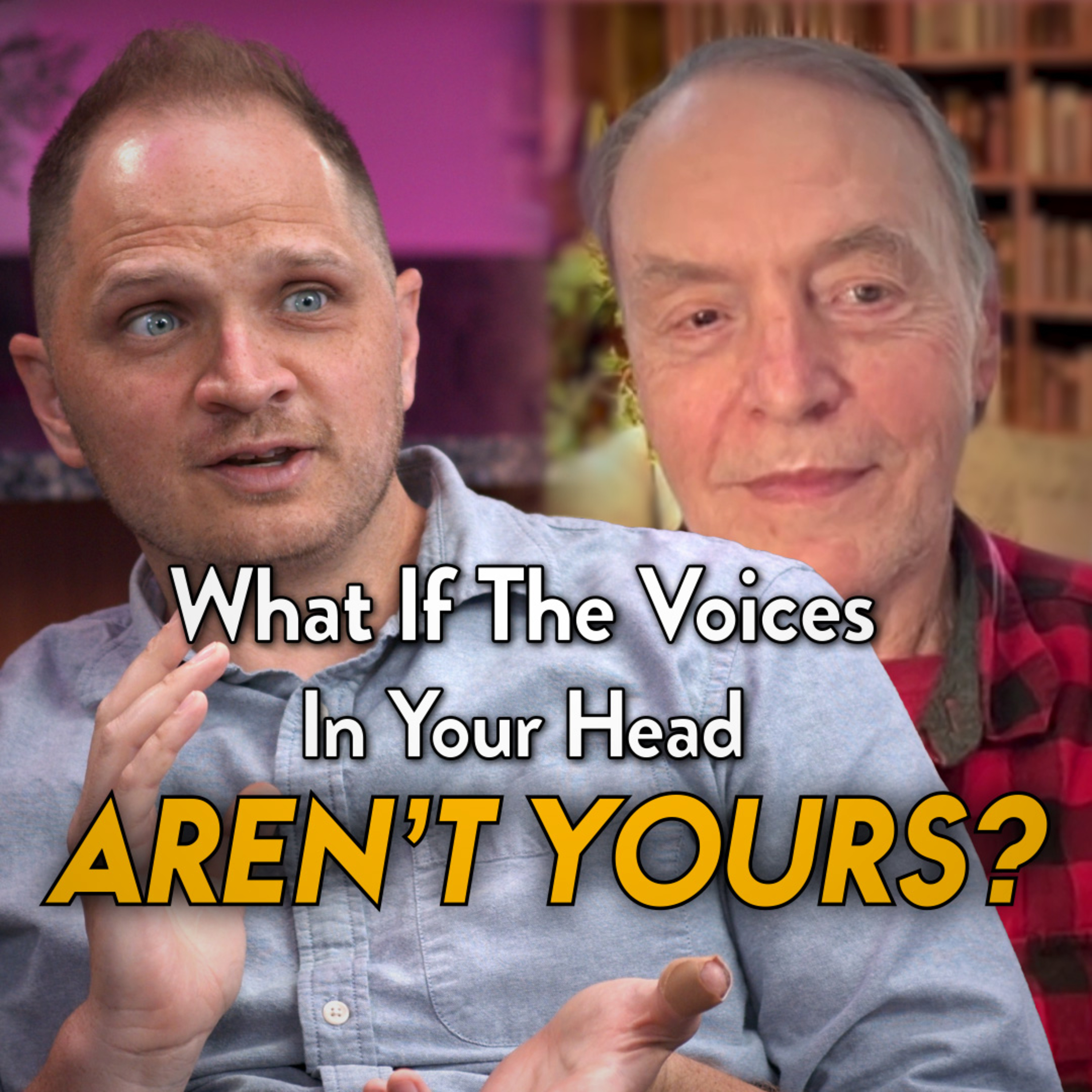 The foreign entities within our minds | Interview with the IFS experts who've met them episode artwork