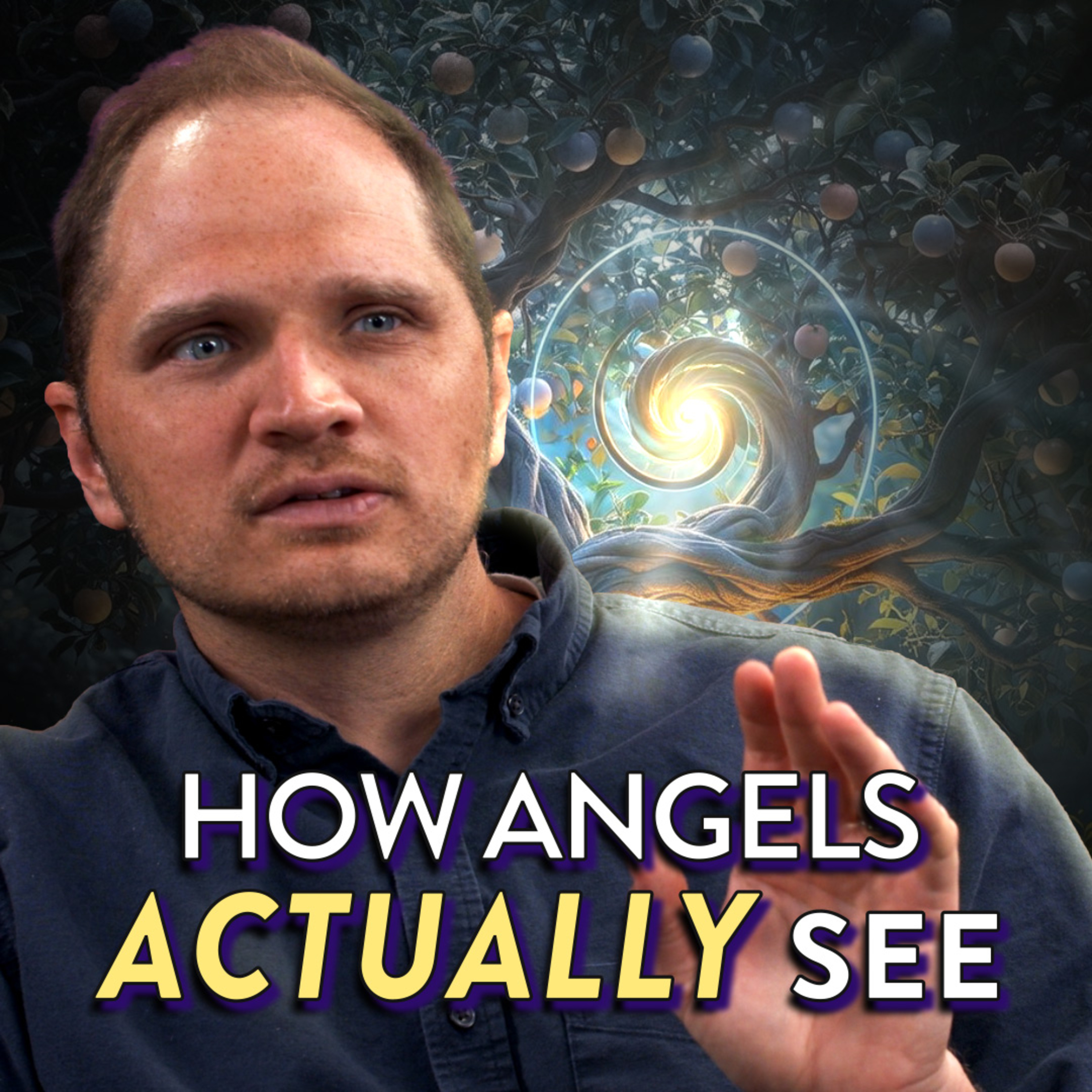 Angels in Heaven are Surrounded by Beauty | "Living" Gardens and Remarkable Objects episode artwork