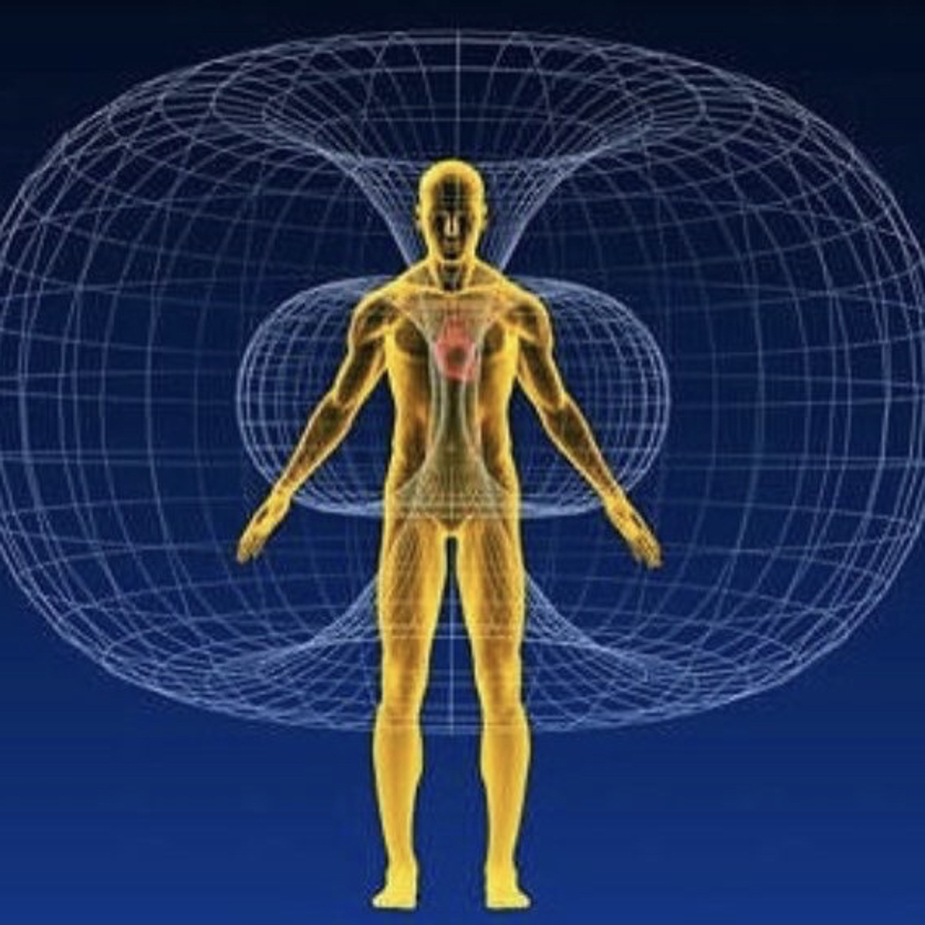 Human Energetics & the Invisible Rainbow  episode artwork