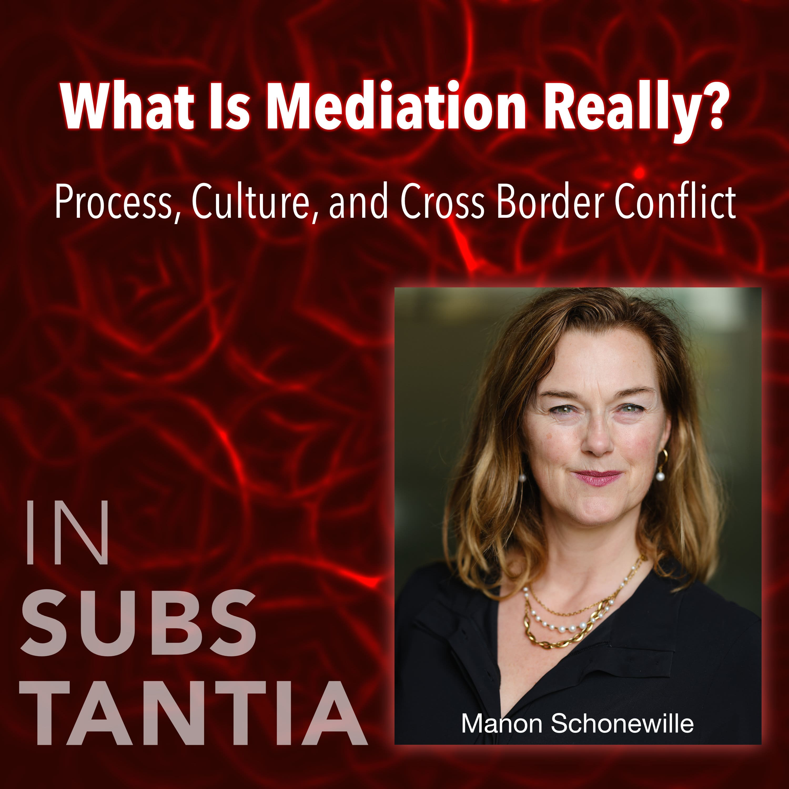 What Is Mediation Really? Process, Culture, and Cross Border Conflict episode artwork