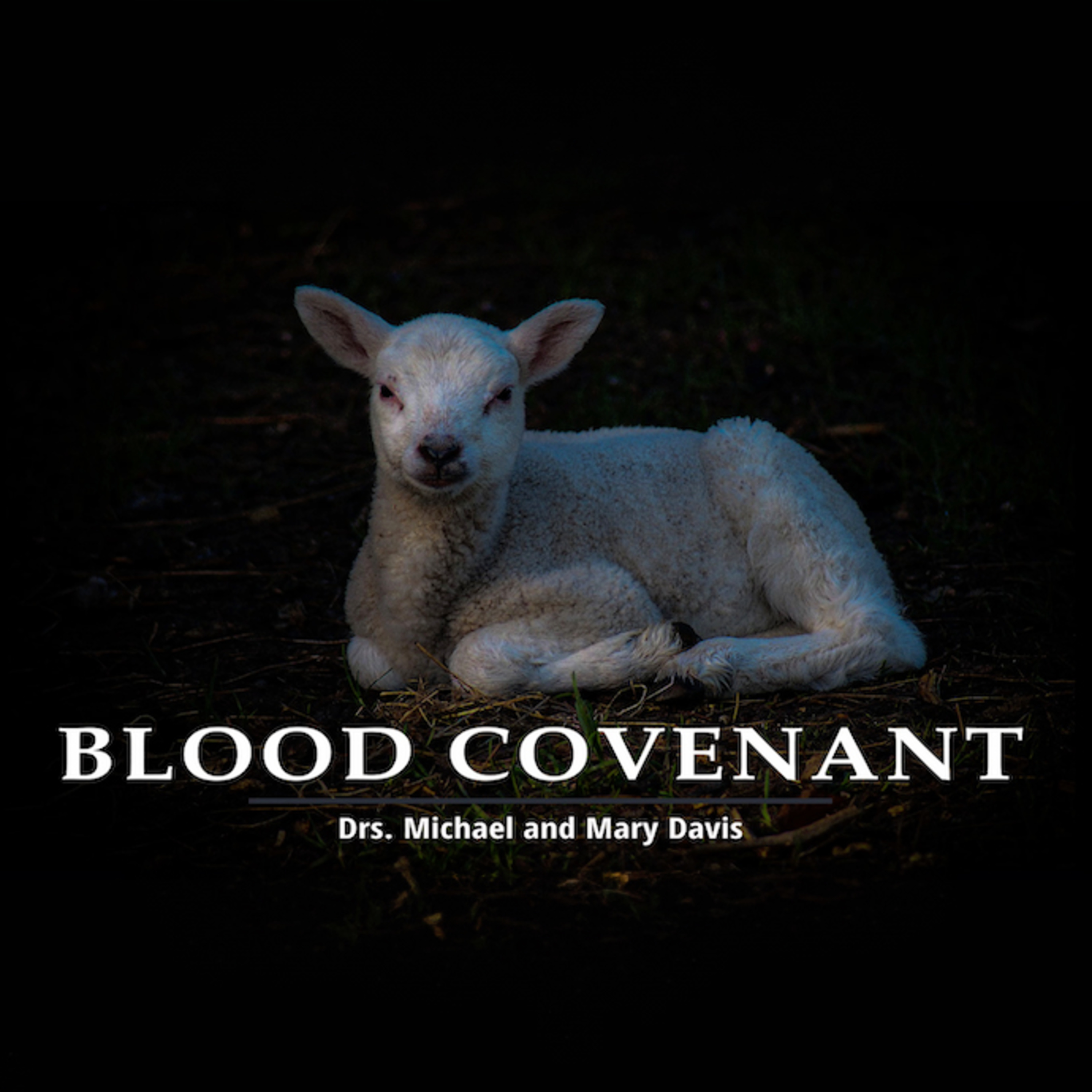 Perfection; Blood Covenant Part 12 episode artwork