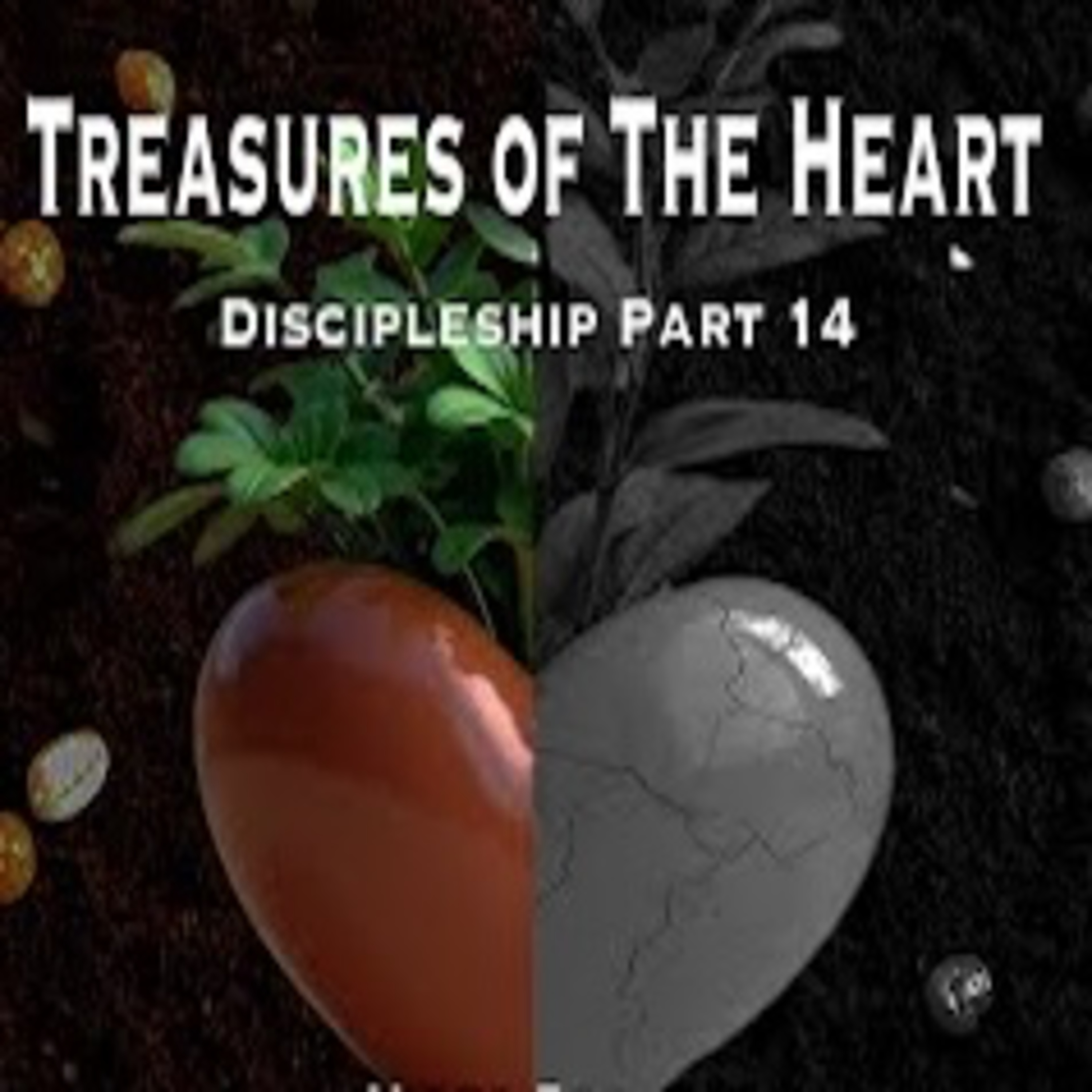 The Law of Sowing and Reaping; Discipleship Part 14 episode artwork