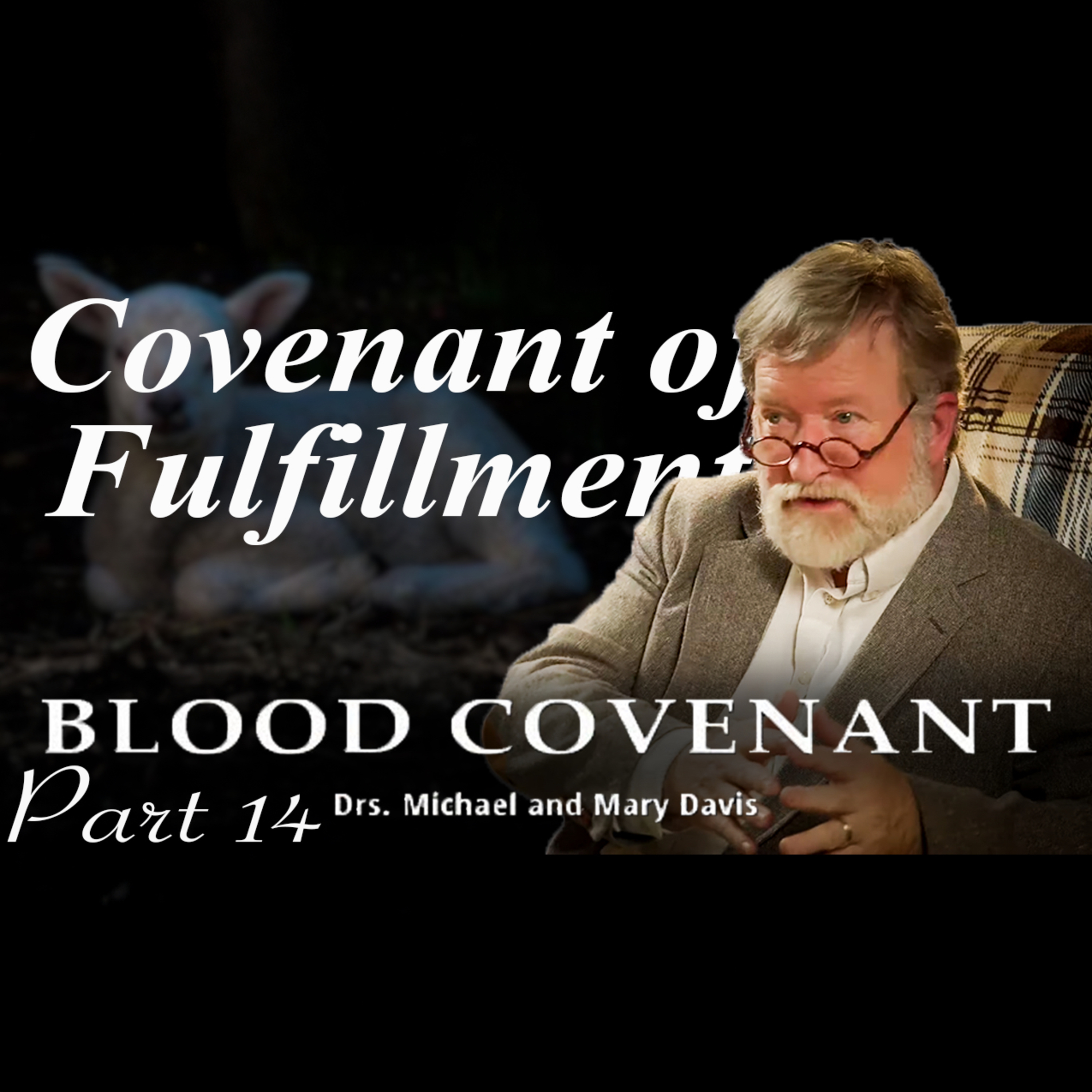 What You've Been Missing; Blood Covenant Part 14 episode artwork