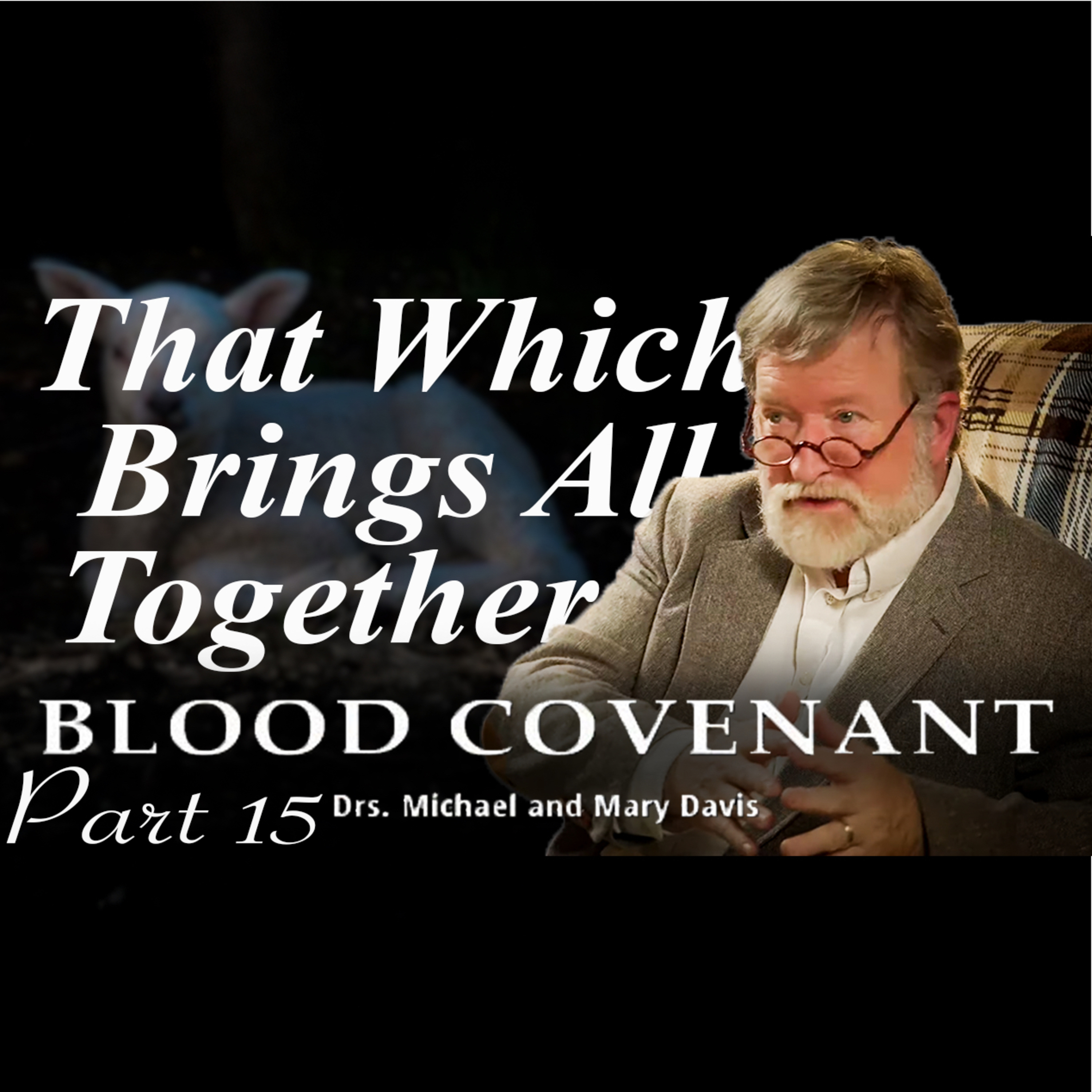 Understanding God's Covenants; Blood Covenant Part 15 episode artwork