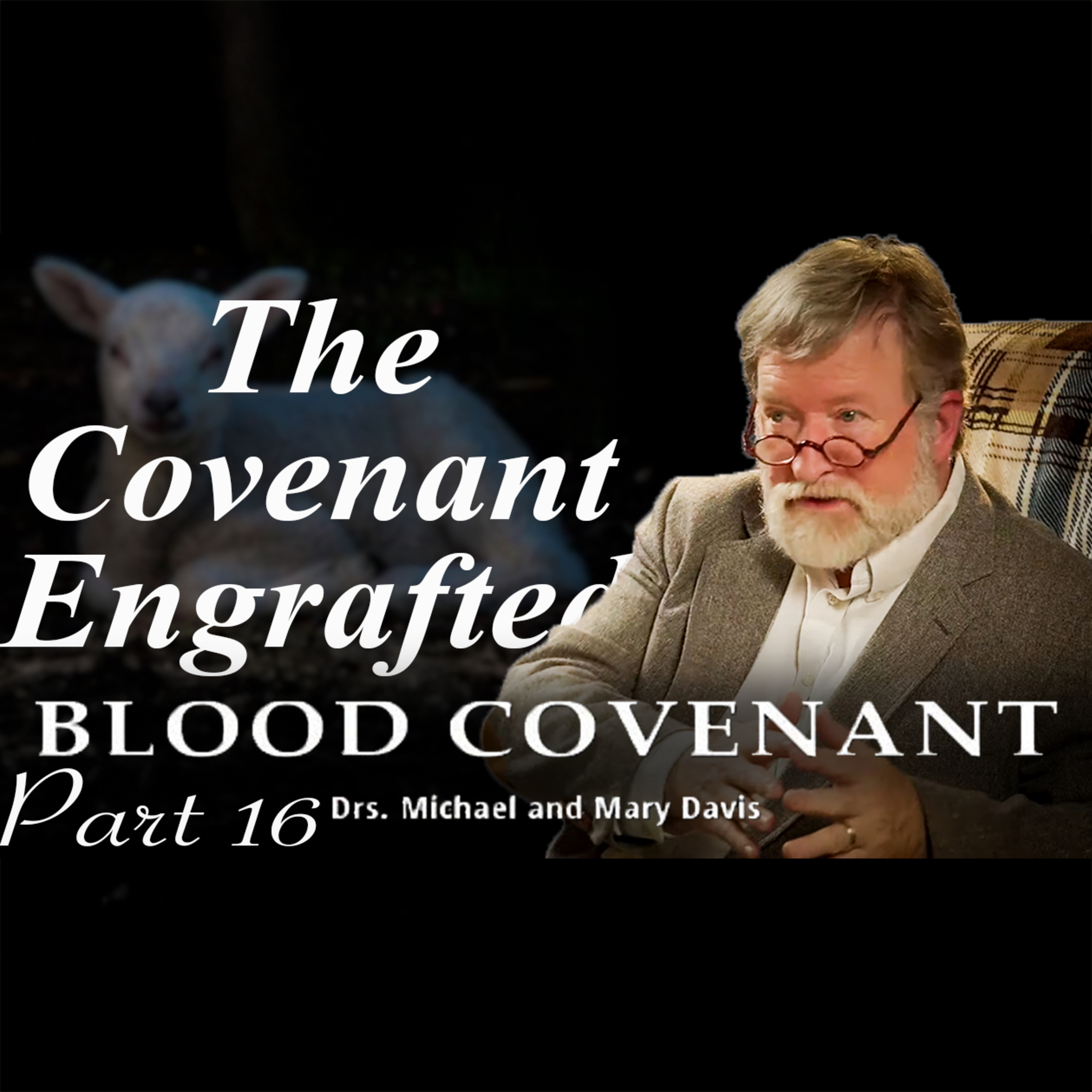 The Writing on the Hearts; Blood Covenant Part 16 episode artwork