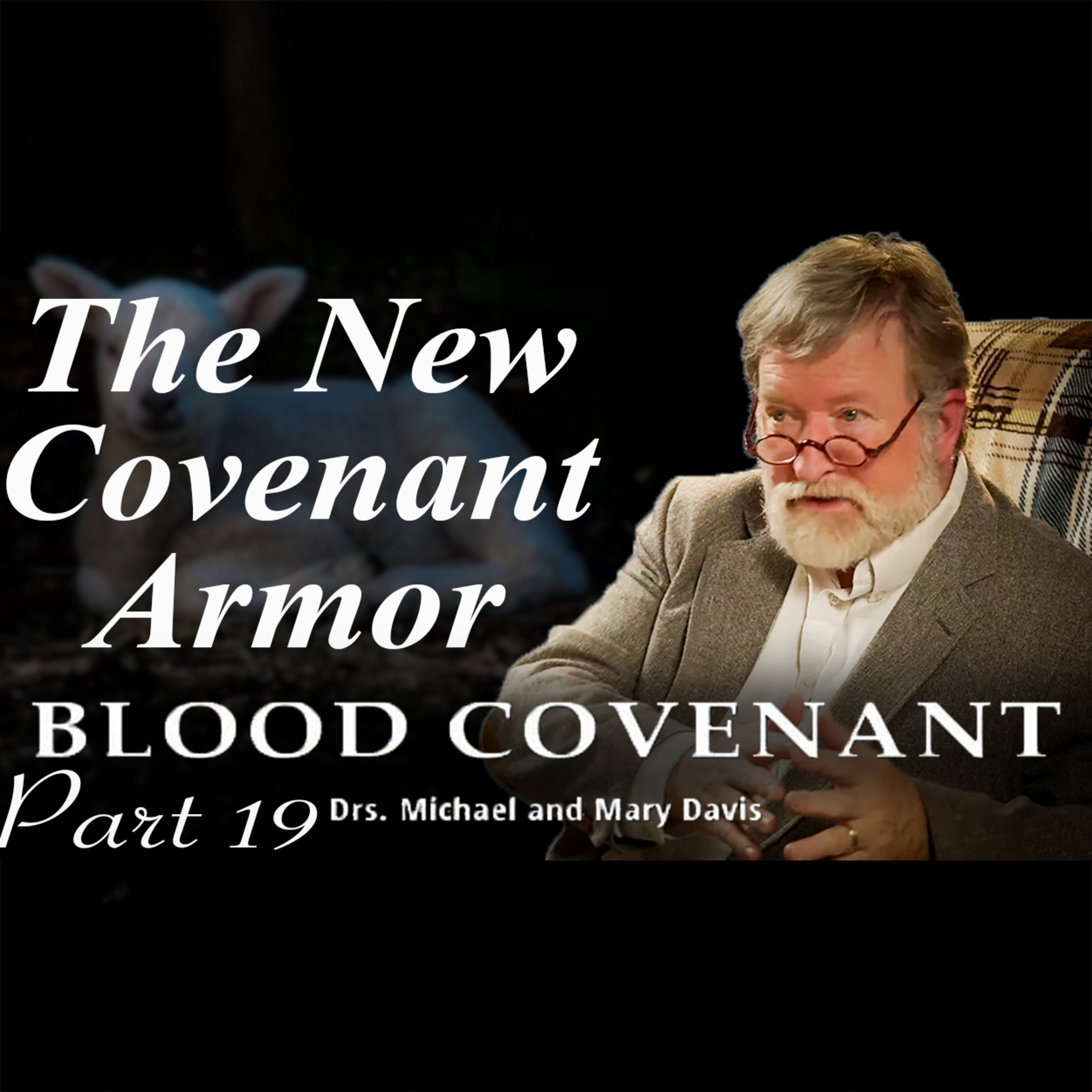 The Armor; Blood Covenant Part 19 episode artwork