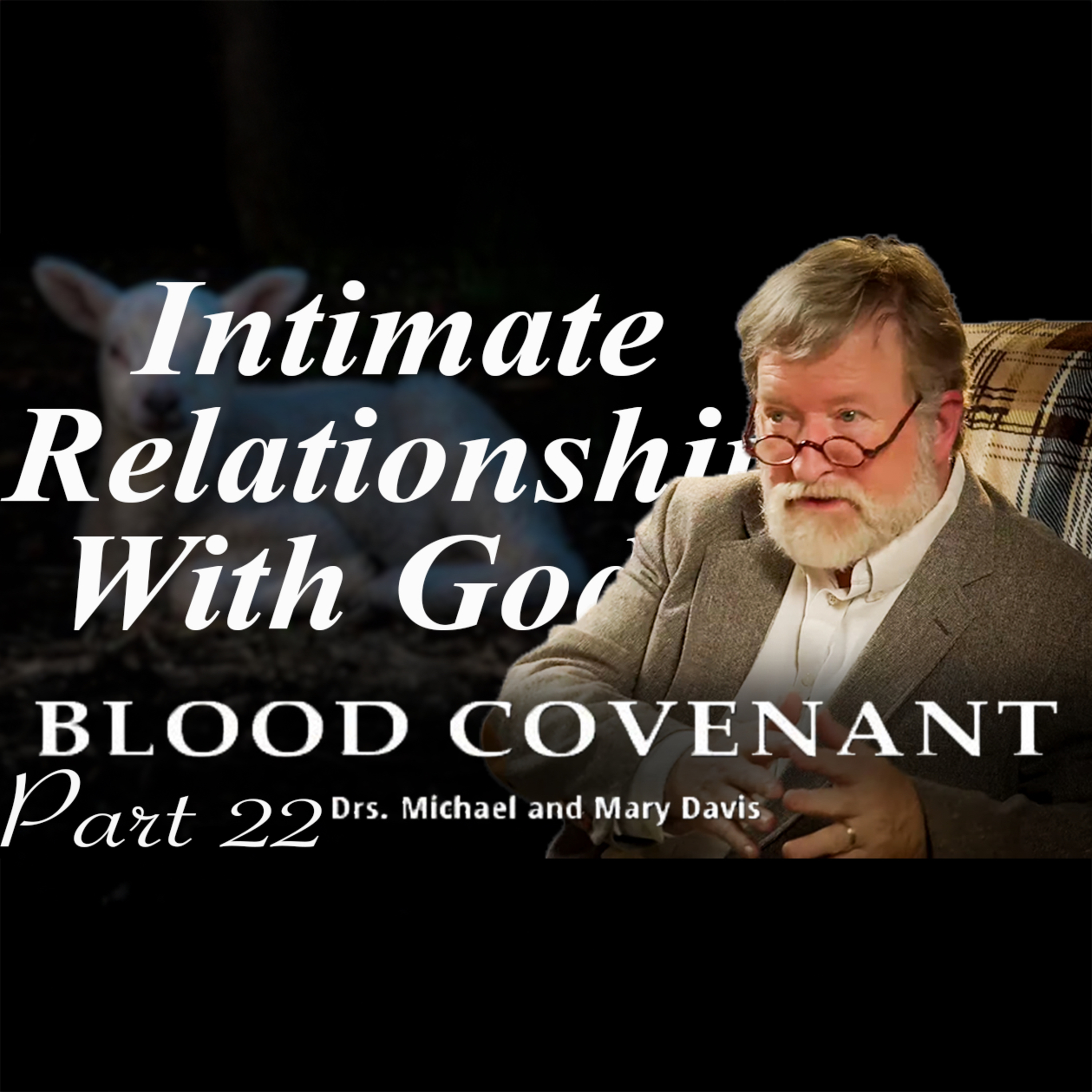 The Abiding Word; Blood Covenant Part 22 episode artwork