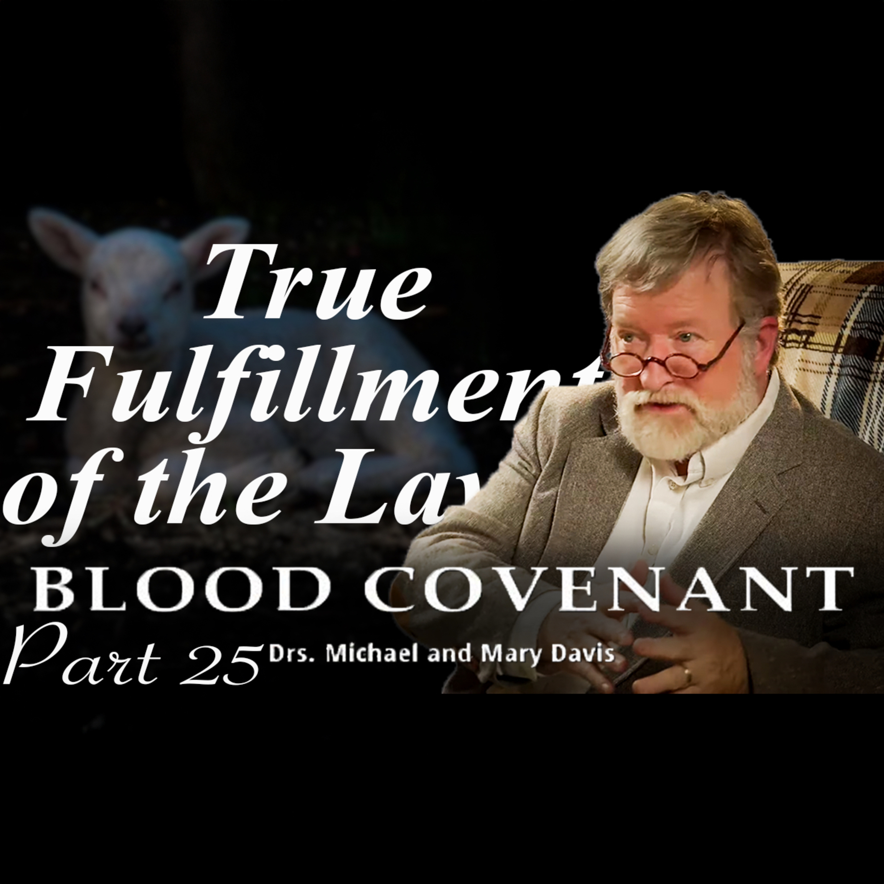 The Law; Blood Covenant Part 25 episode artwork