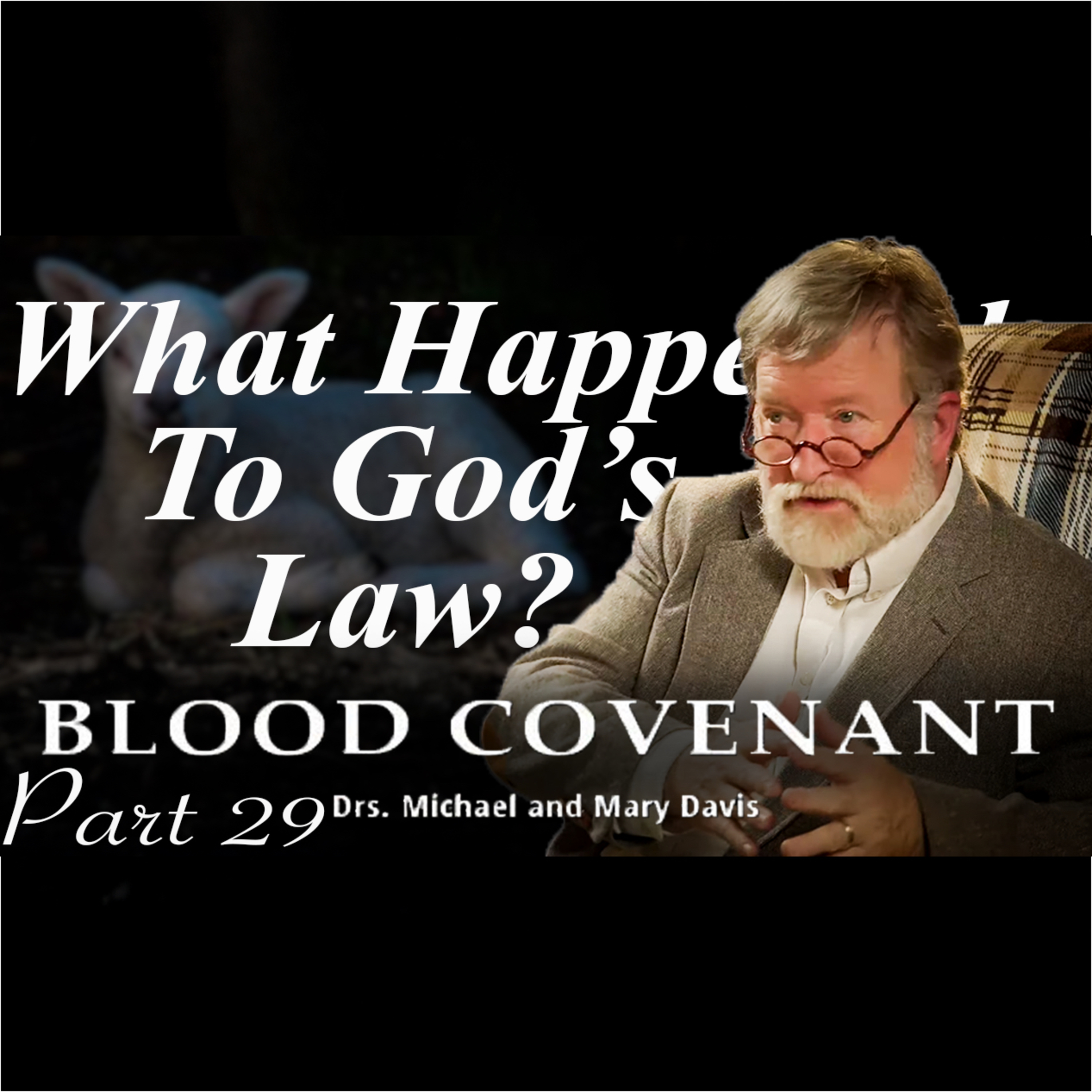 The Law of Justification; Blood Covenant Part 29 episode artwork