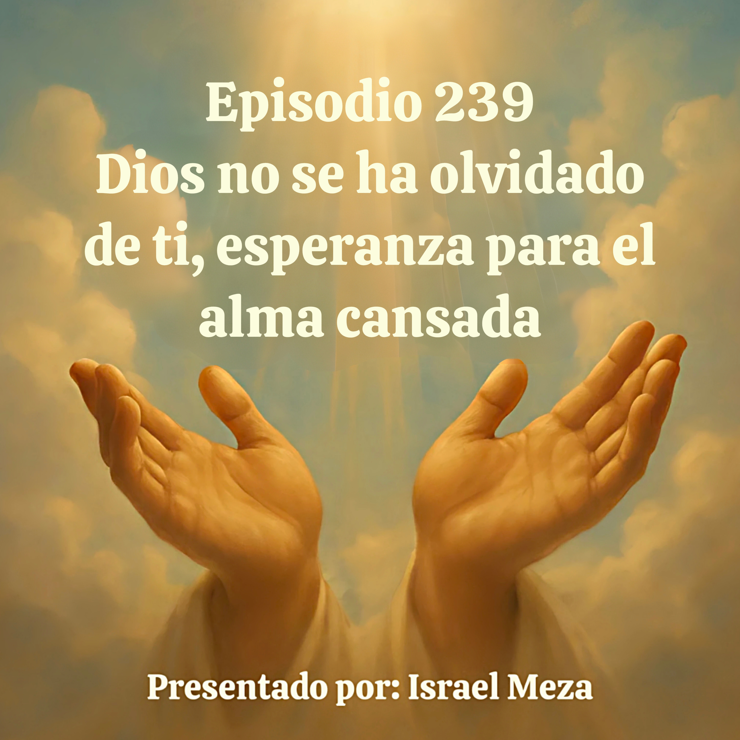 Dios no se ha olvidado de ti, esperanza para el alma cansada. episode artwork