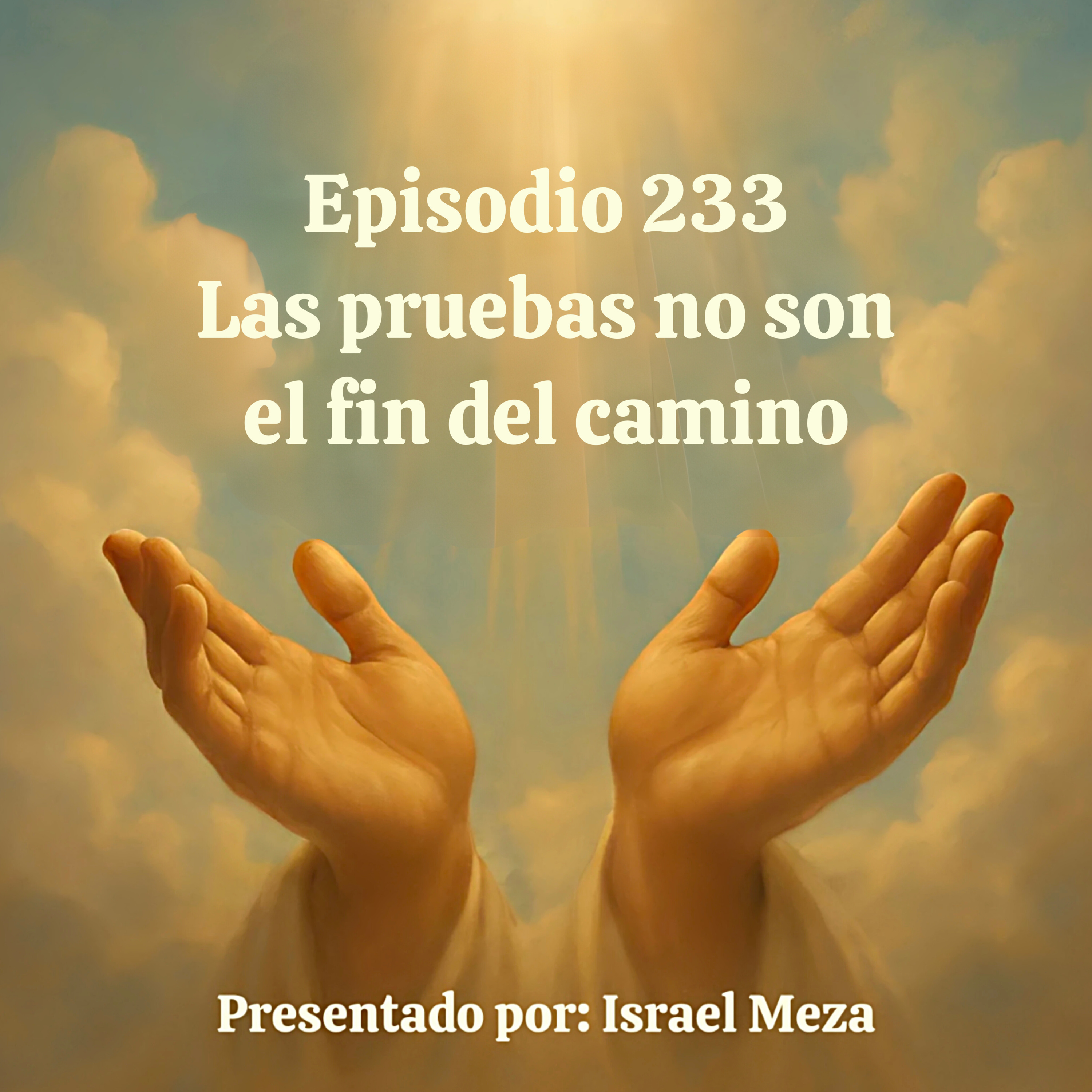 Las pruebas no son el fin del camino. episode artwork