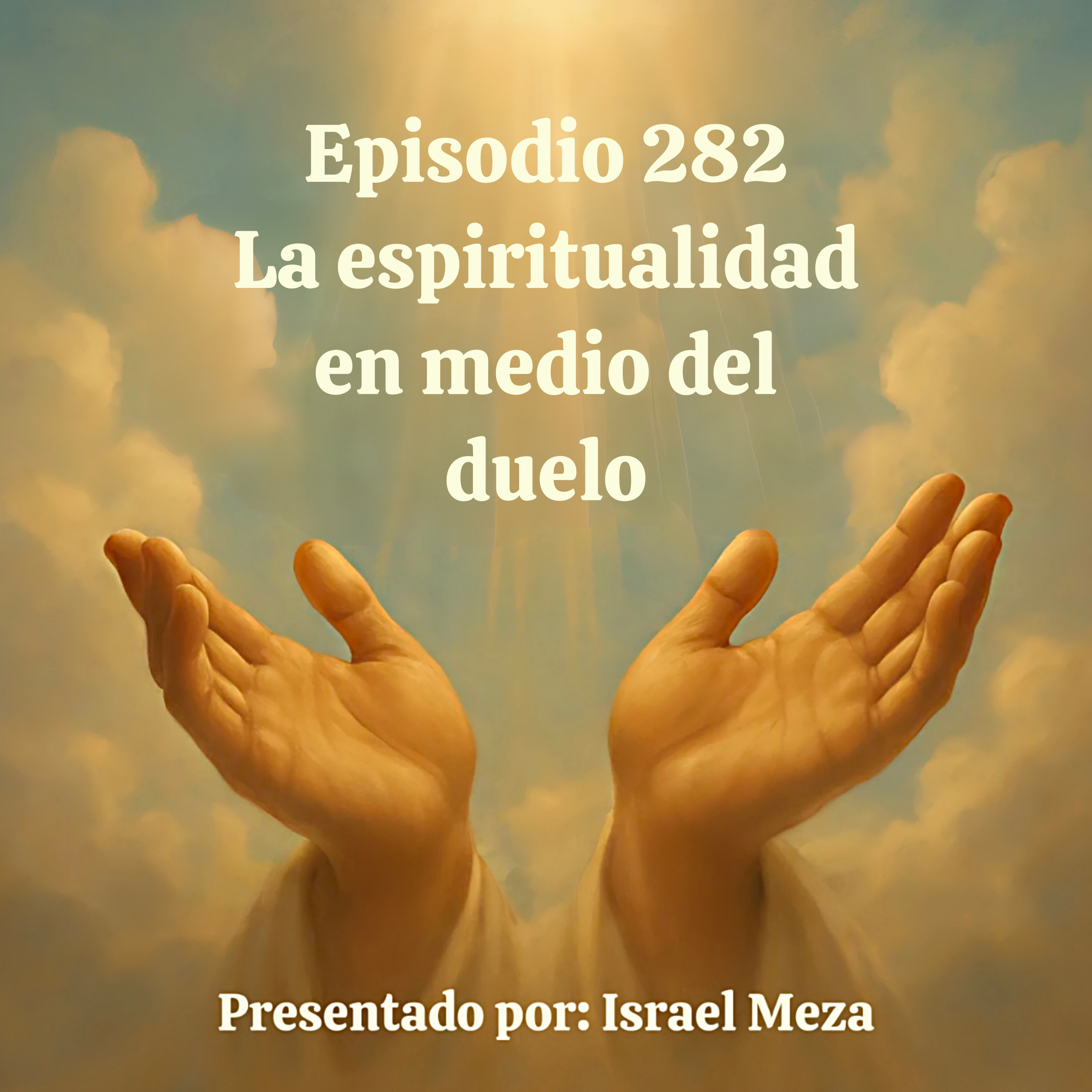 La espiritualidad en medio del duelo. episode artwork