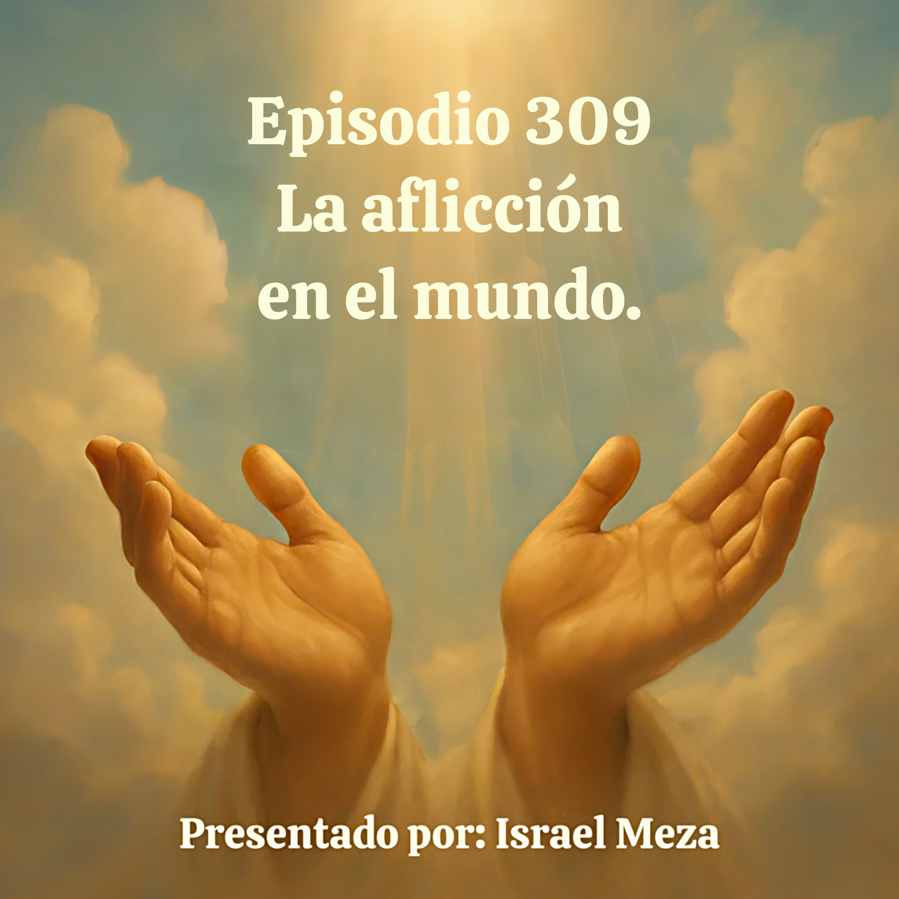 La aflicción en el mundo. episode artwork