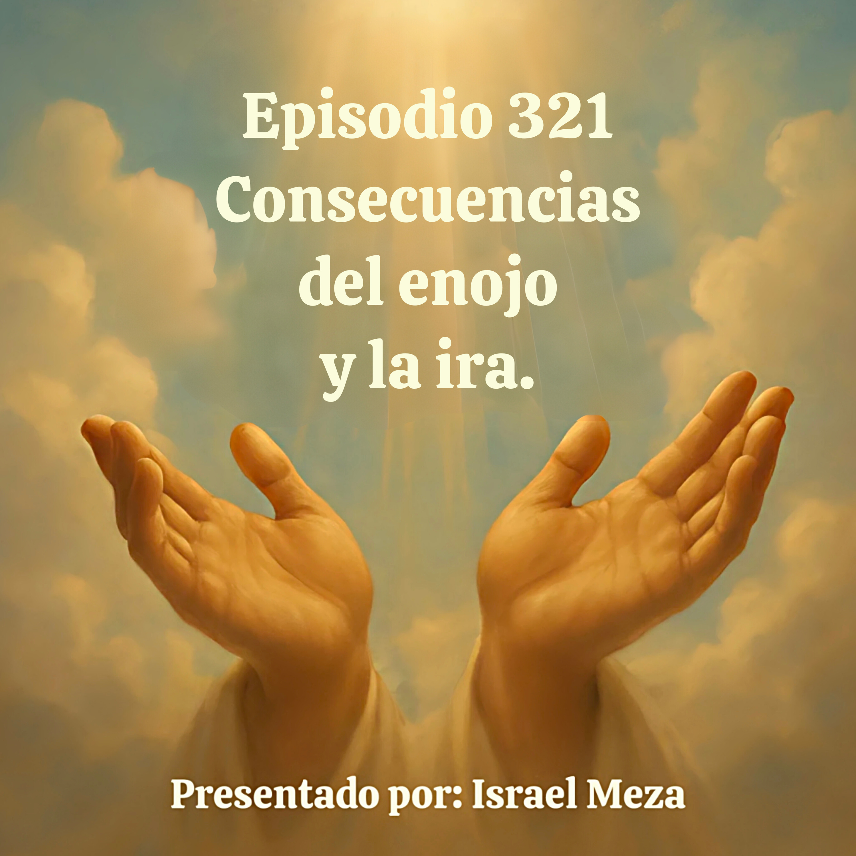 Consecuencias del enojo y la ira. episode artwork
