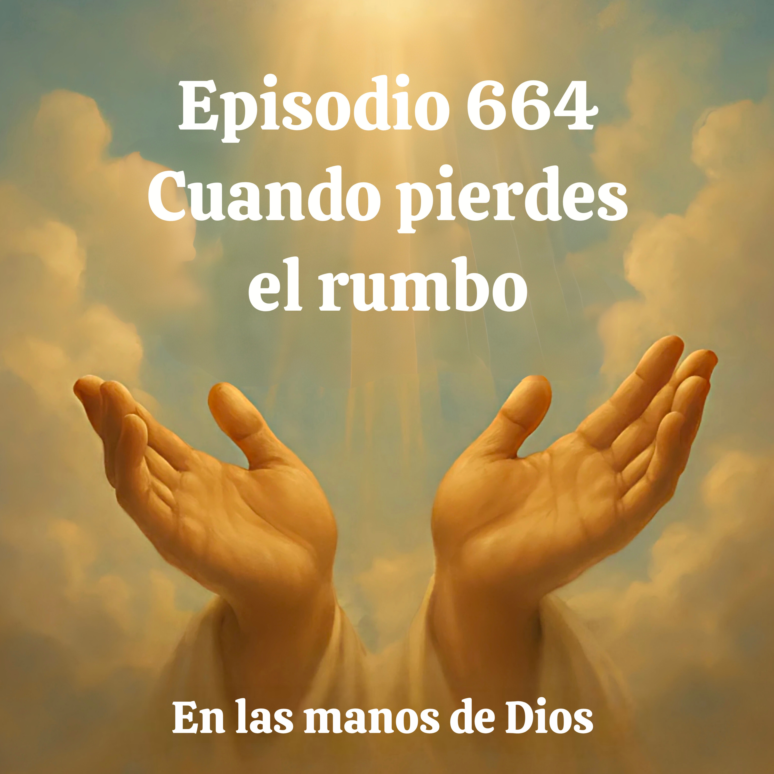 Cuando pierdes el rumbo episode artwork