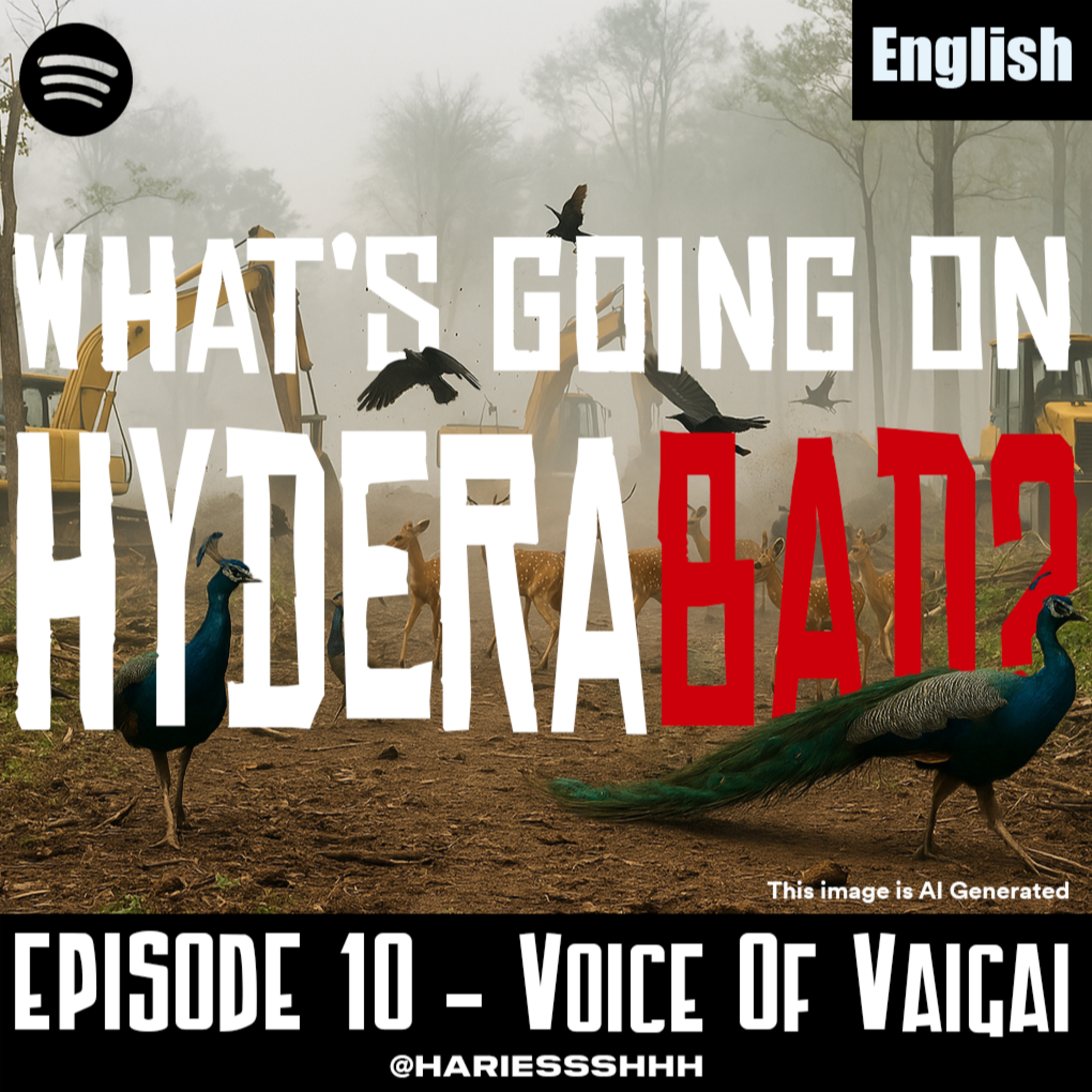 S2E10e: What's going on Hyderabad? - English episode artwork