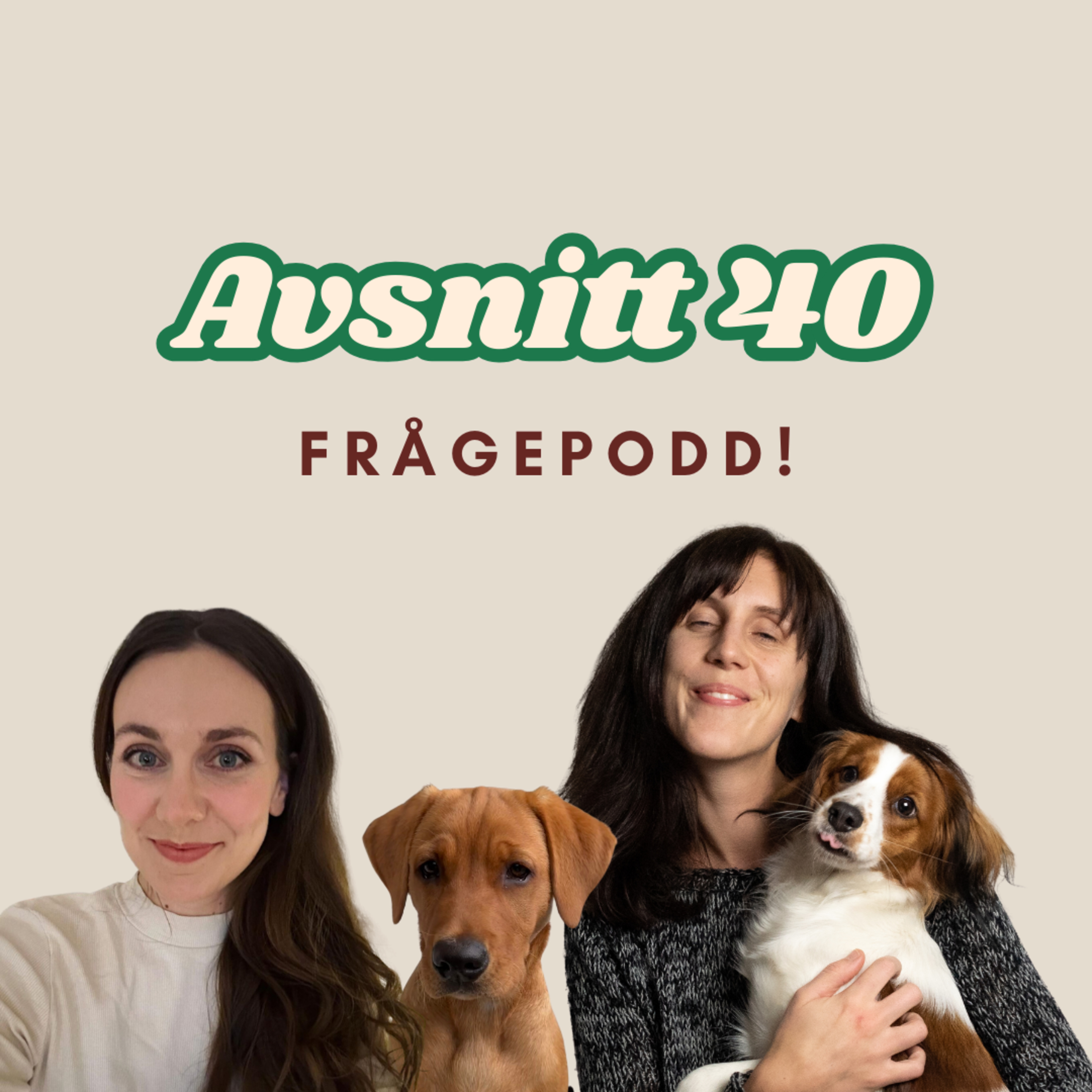 40. Frågepodd! Om hoppande, rädslor, valpar och nyfödda!