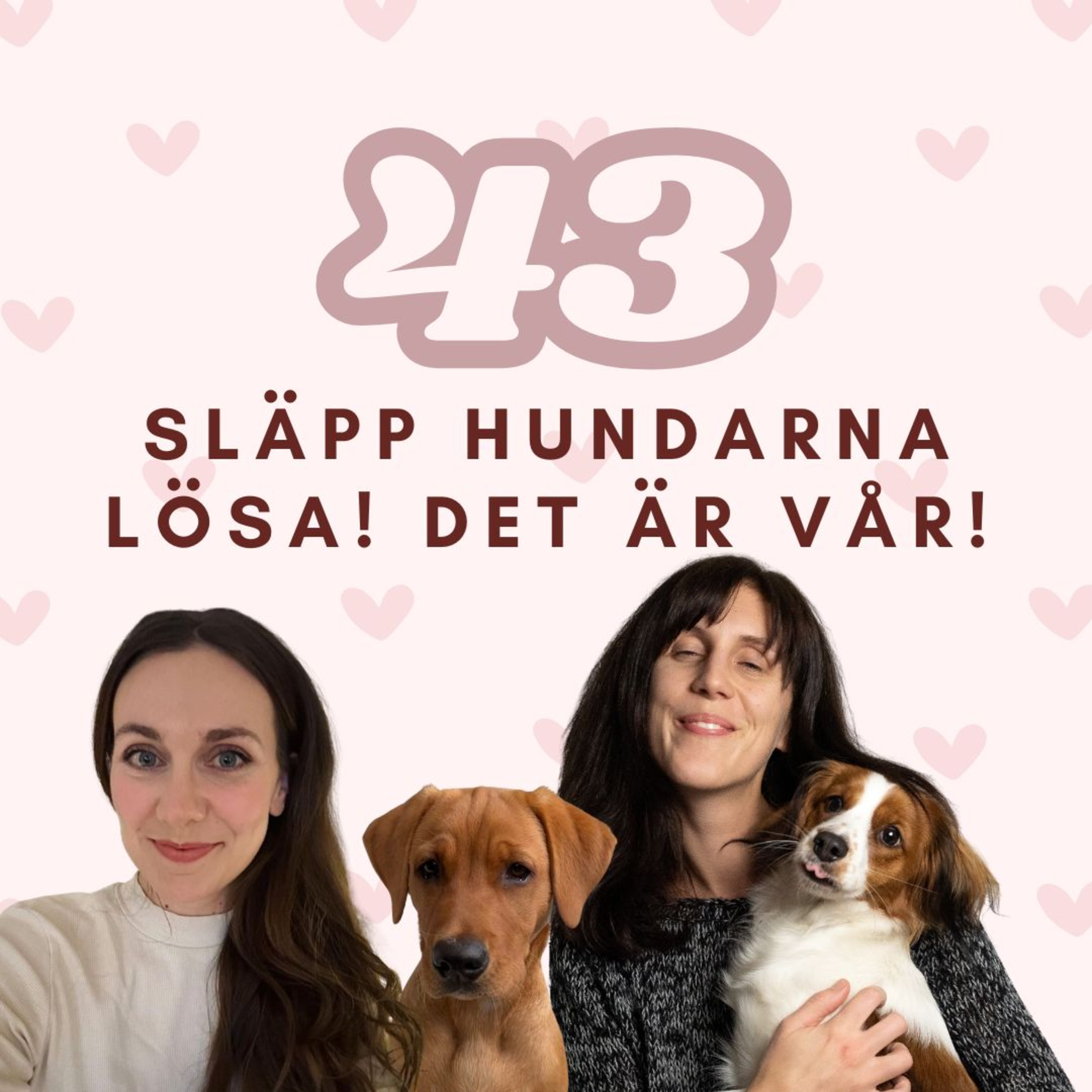 43. Släpp hundarna lösa det är vår!!! (typ) episode artwork