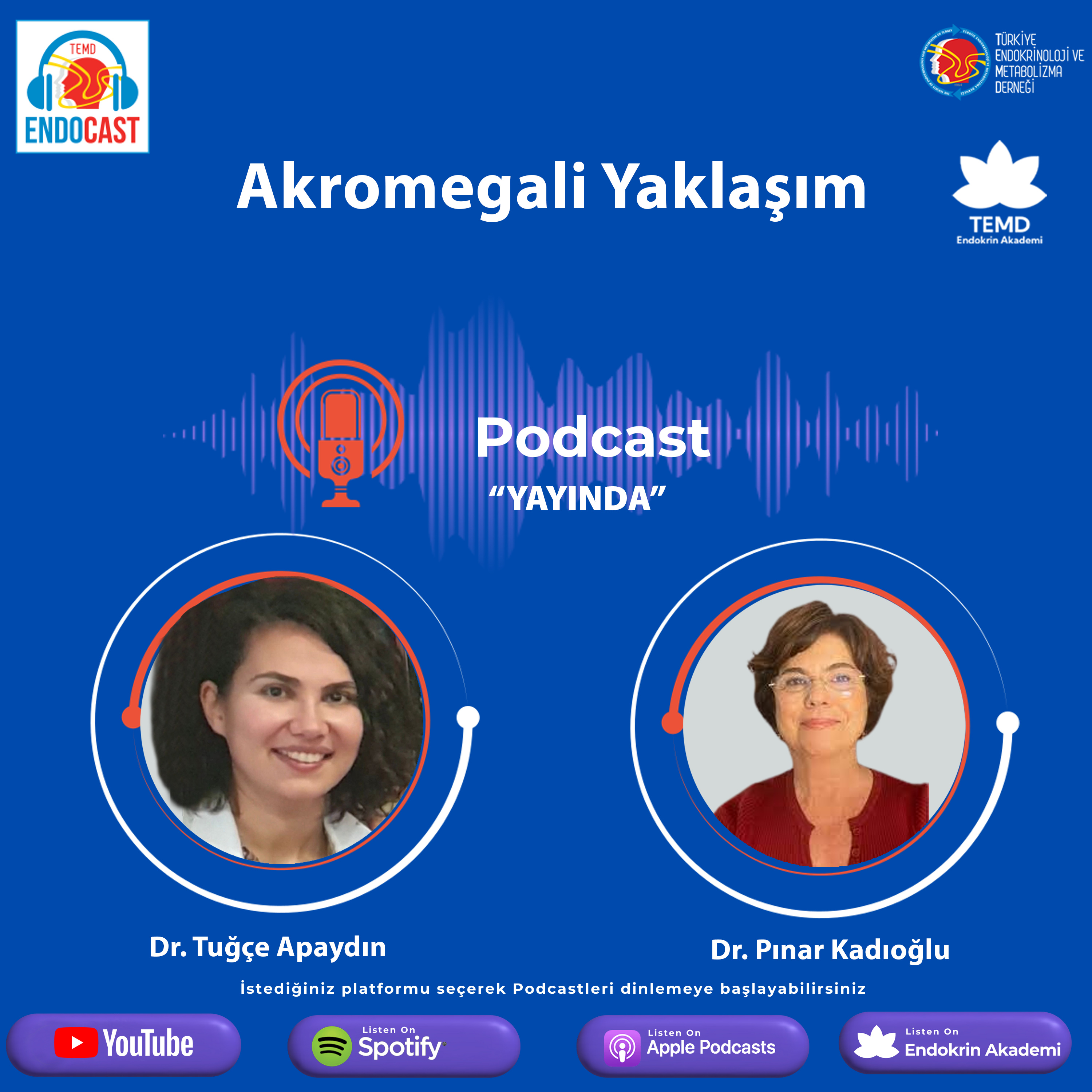 ENDOCASTTürkiye Endokrinoloji ve Metabolizma DerneğiResmi Podcast Hesabı