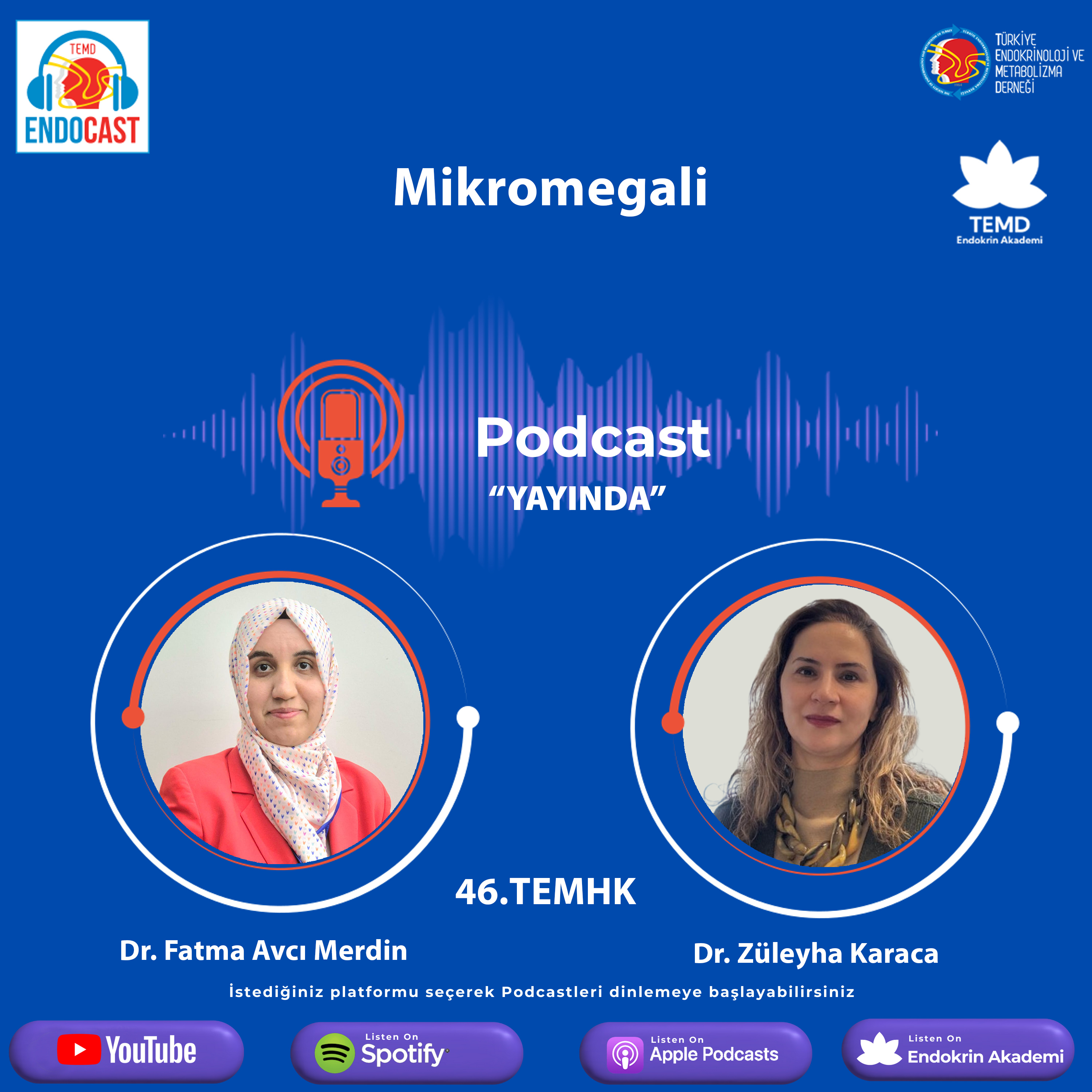 ENDOCASTTürkiye Endokrinoloji ve Metabolizma DerneğiResmi Podcast Hesabı