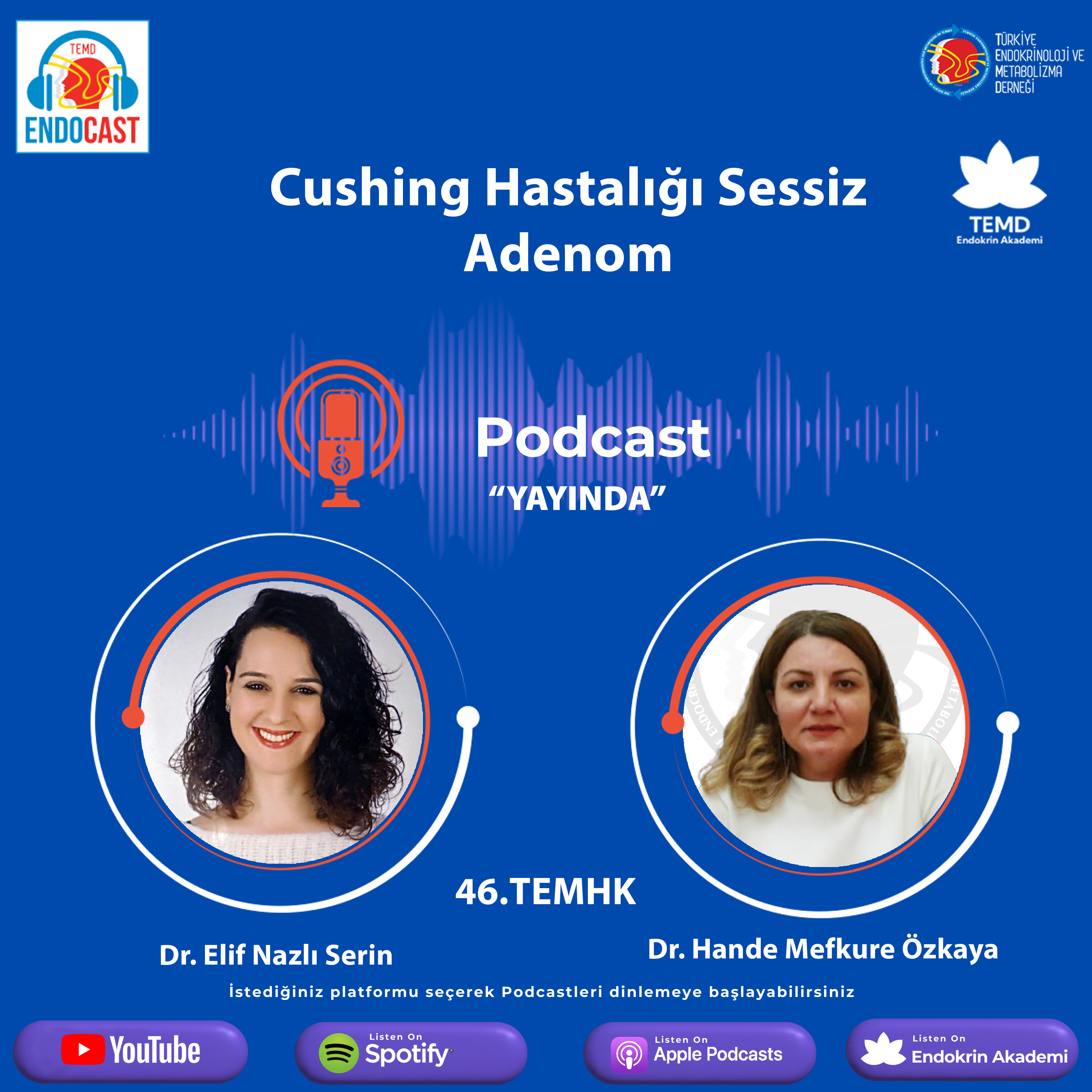 ENDOCASTTürkiye Endokrinoloji ve Metabolizma DerneğiResmi Podcast Hesabı