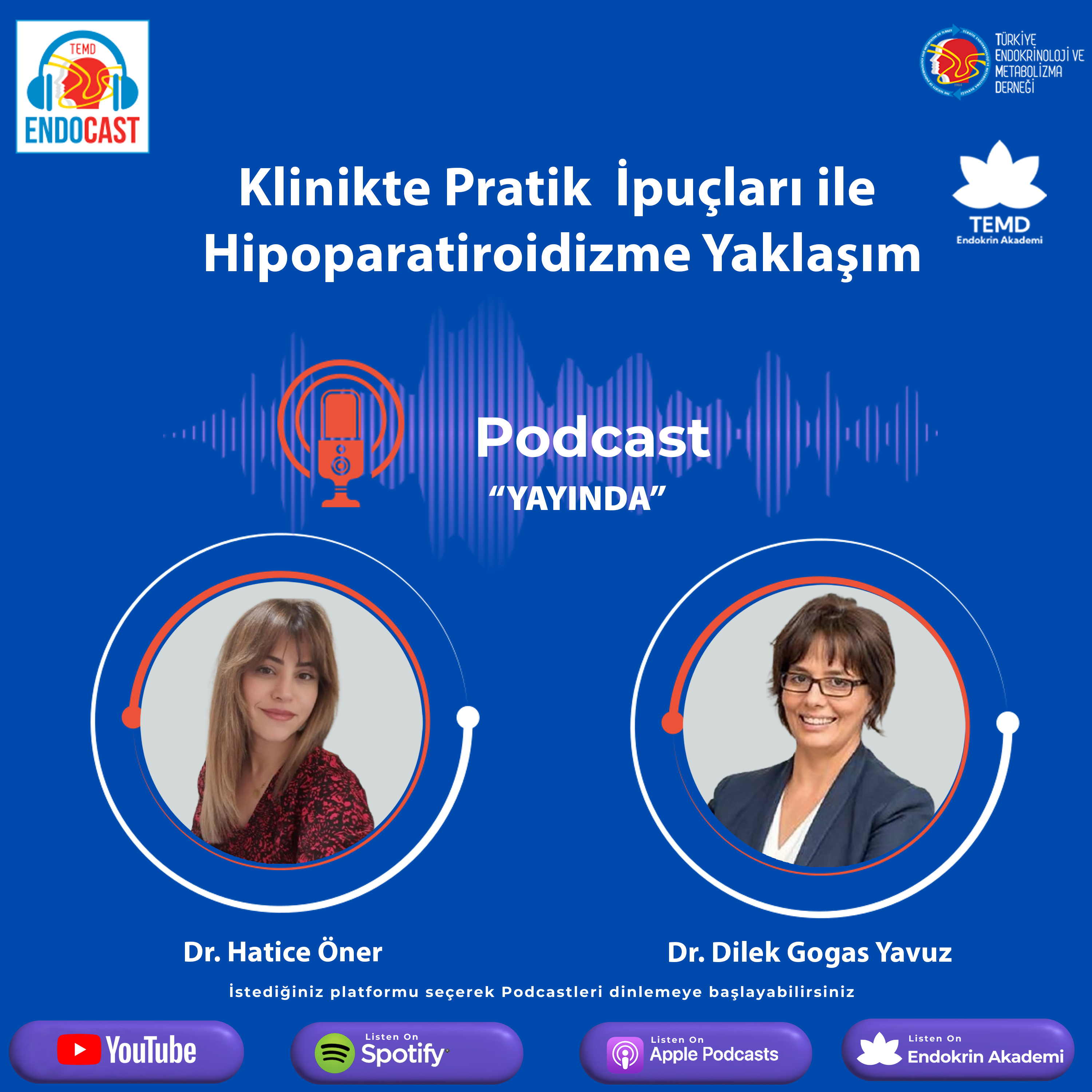 Hipoparatiroidizme Yaklaşım episode artwork