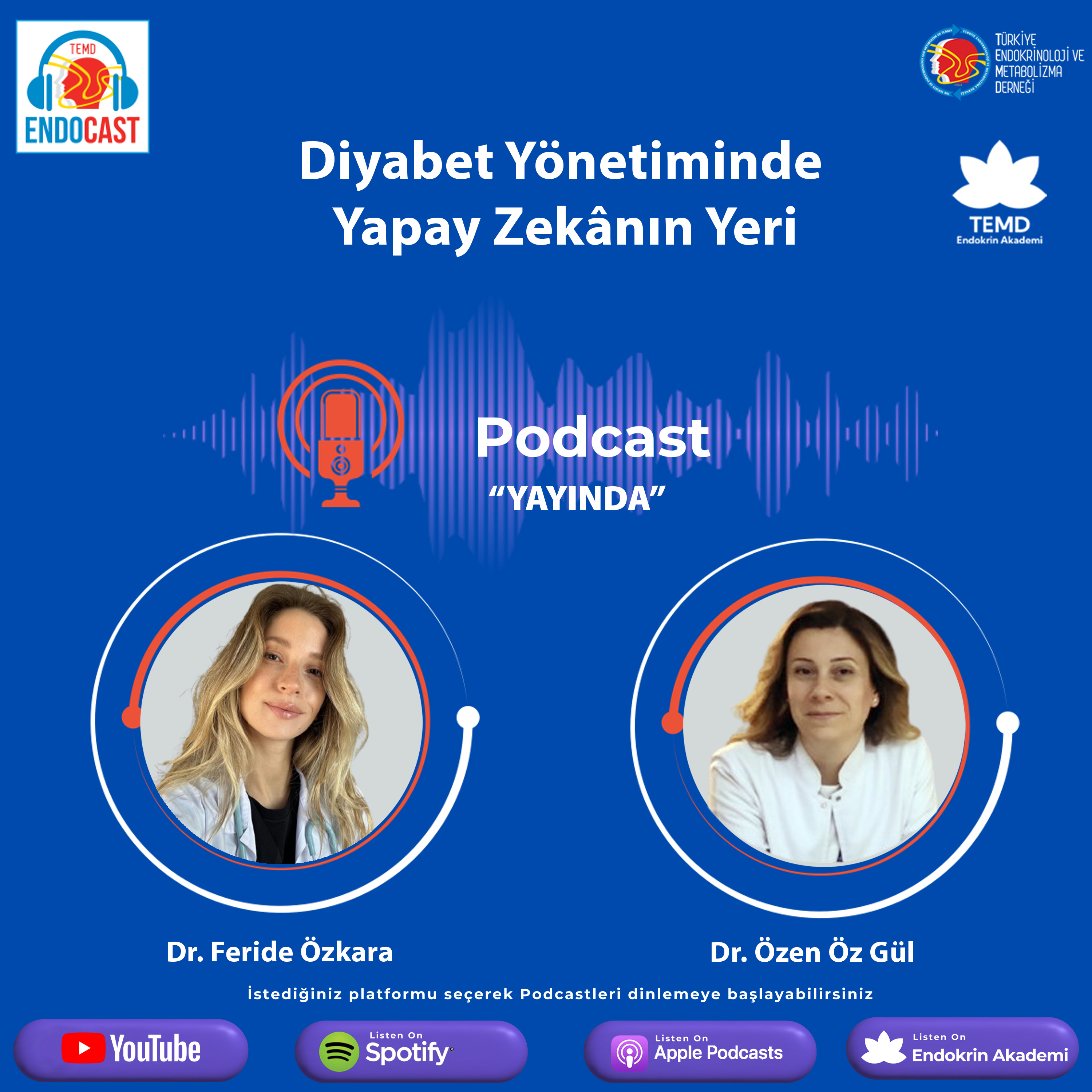 Diyabet Yönetiminde Yapay Zekânın Yeri episode artwork