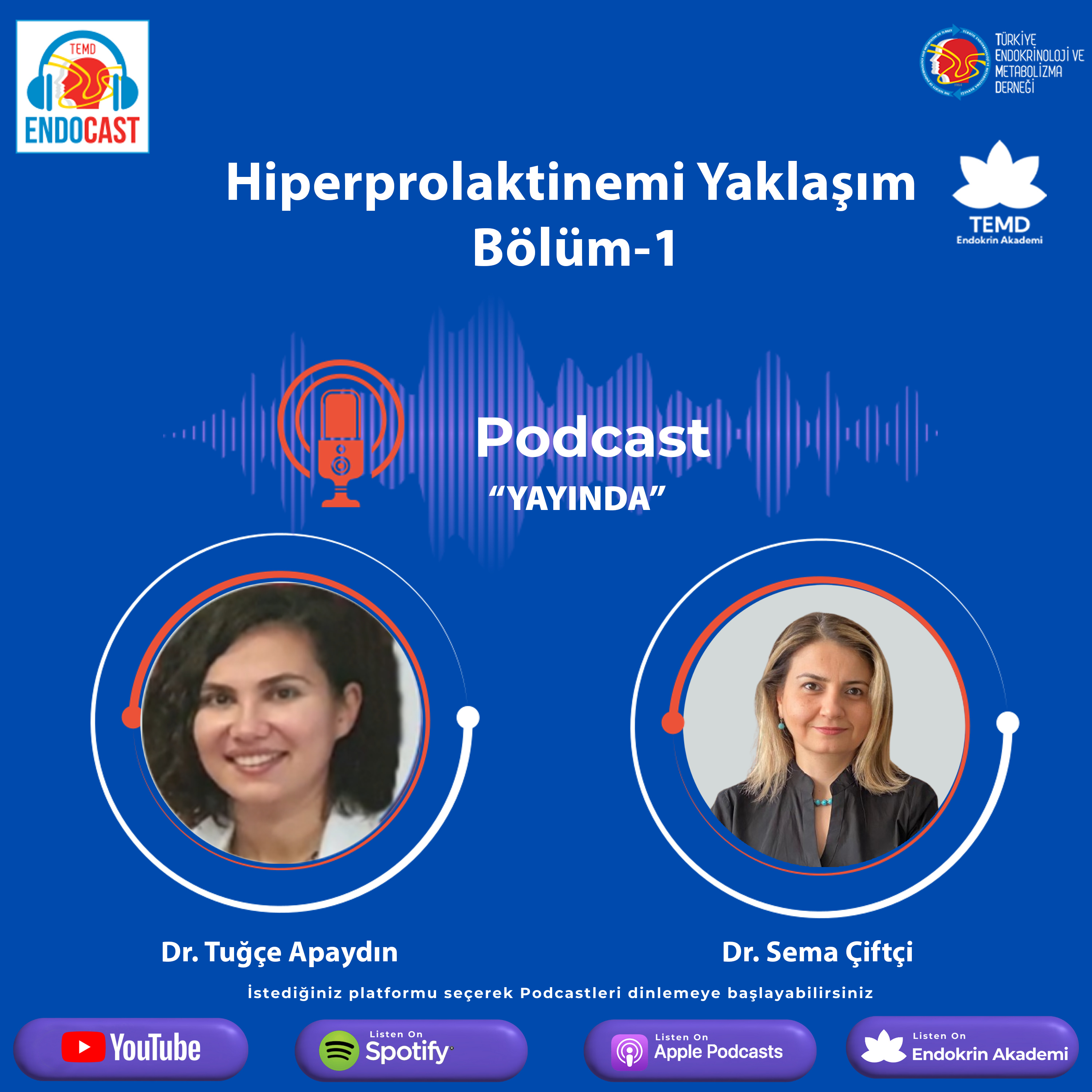 Hiperprolaktinemi Yaklaşım Bölüm-1 episode artwork