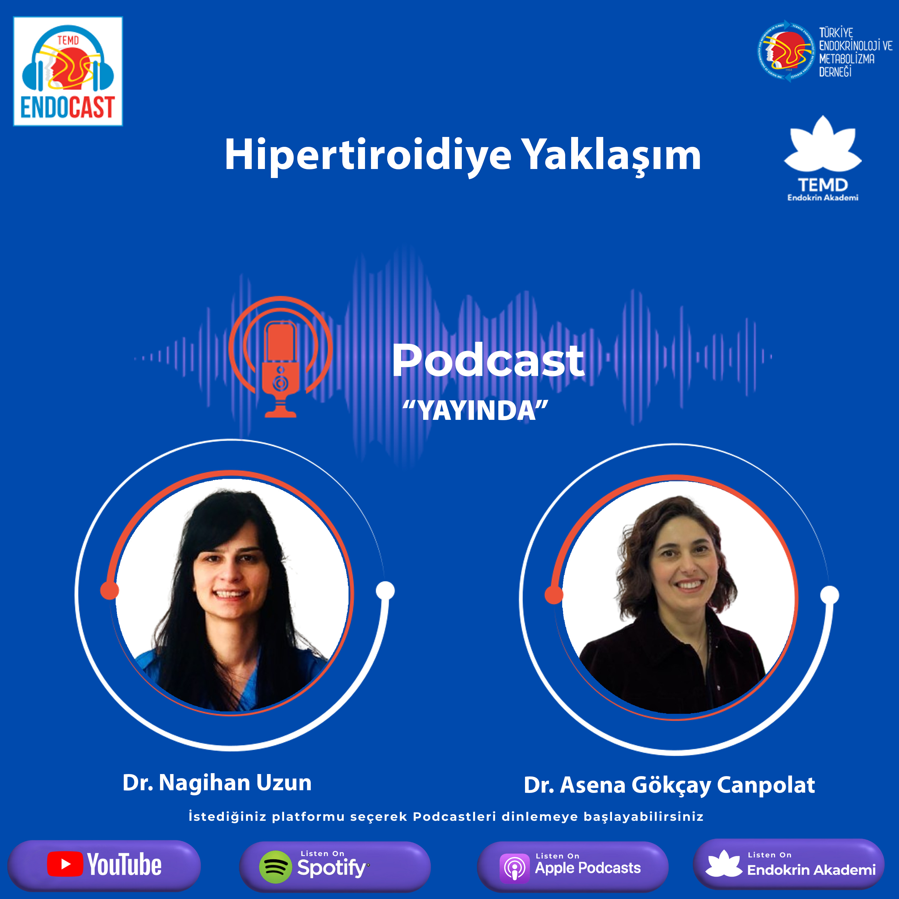 Hipertiroidiye Yaklaşım episode artwork