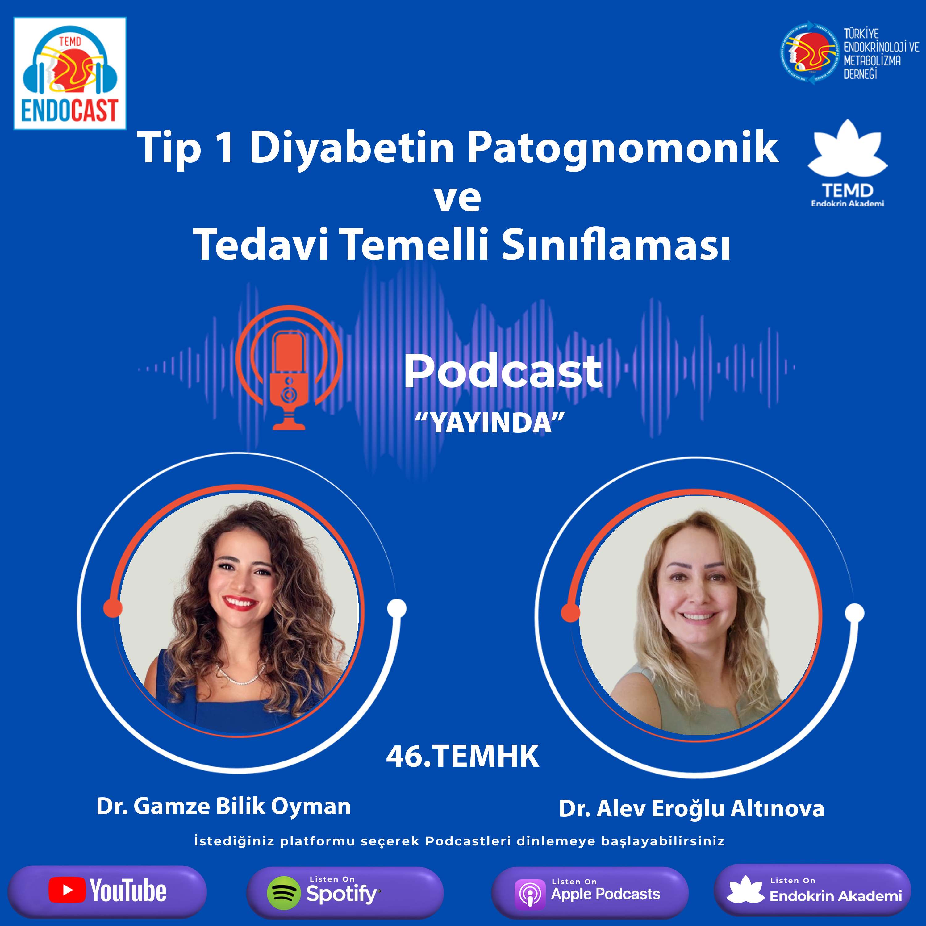 Tip 1 Diyabetin Patognomonik ve Tedavi Temelli Sınıflaması episode artwork