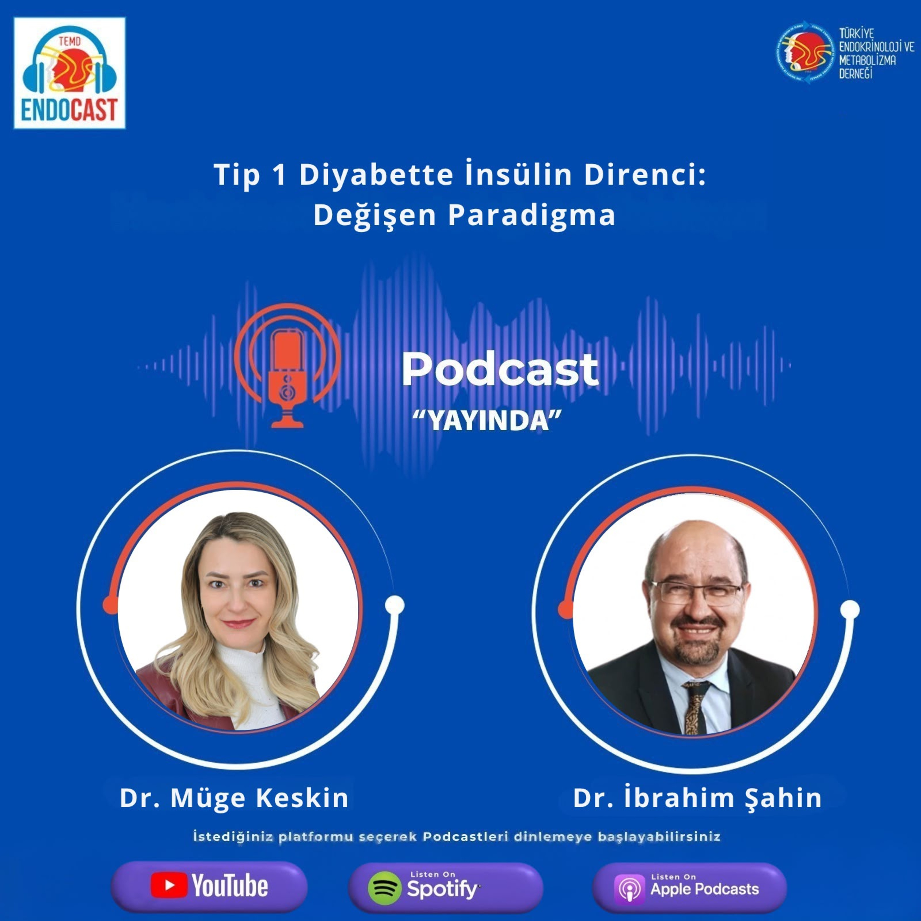 Tip 1 Diyabette İnsülin Direnci: Değişen Paradigma