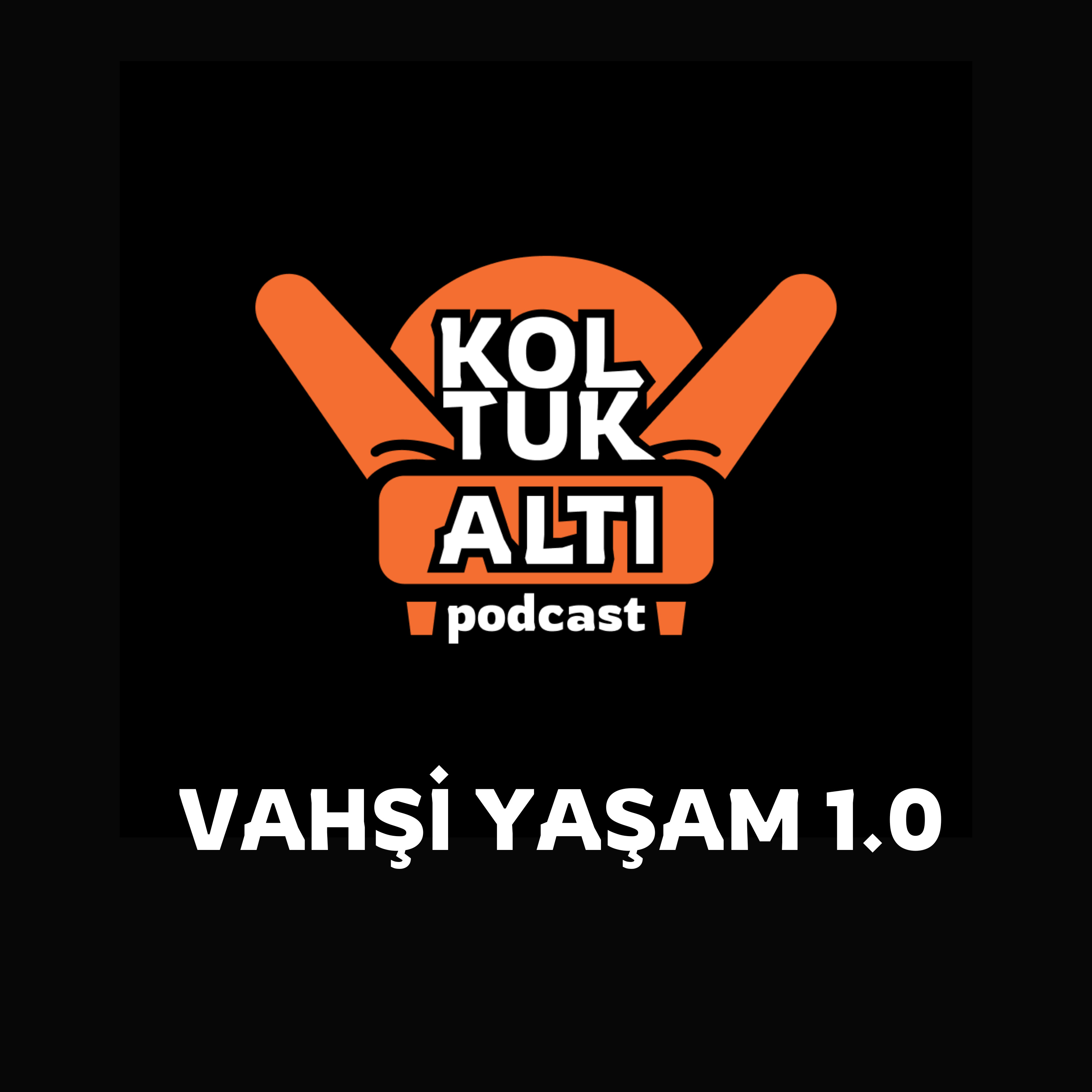 Koltuk Altı