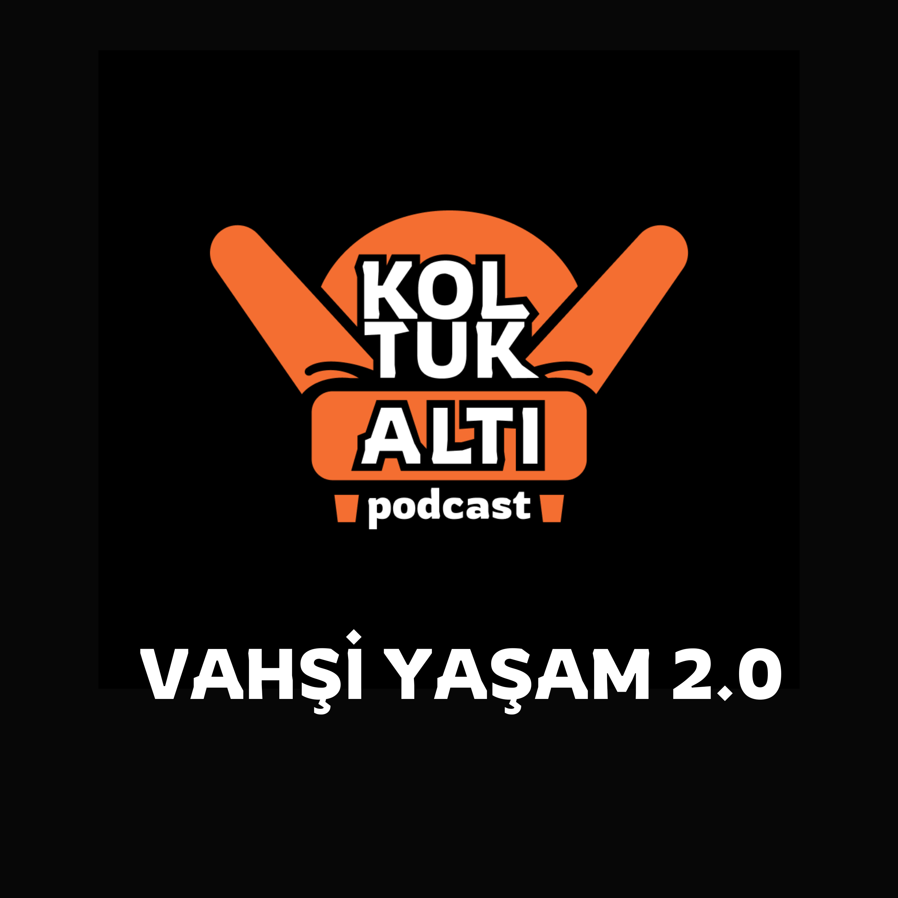Koltuk Altı