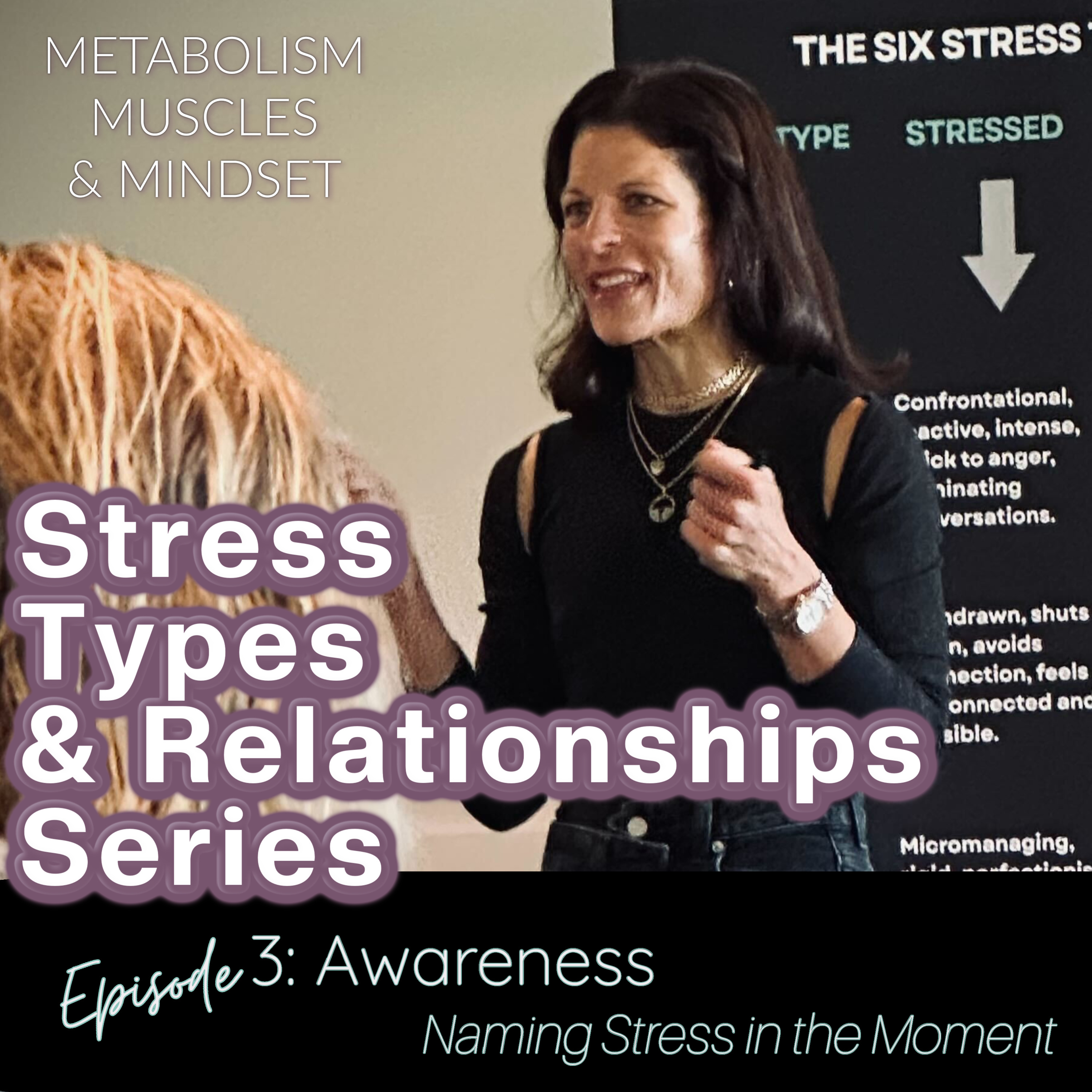 Stress Series - 03 - Awareness: Naming Stress in the Moment