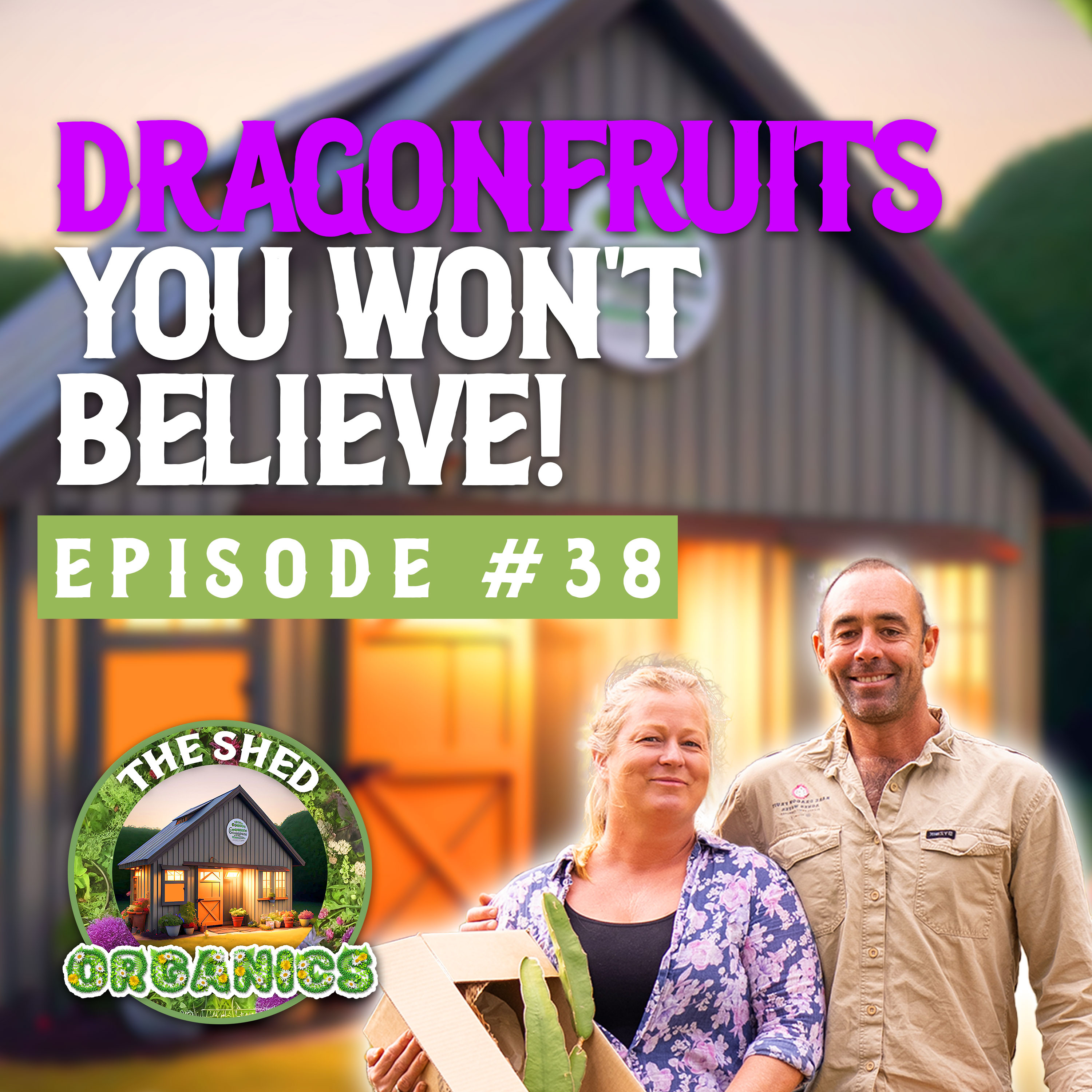 #38 - Rare Dragonfruit & How To Grow Them | Yana [Rare Dragonfruit] episode artwork