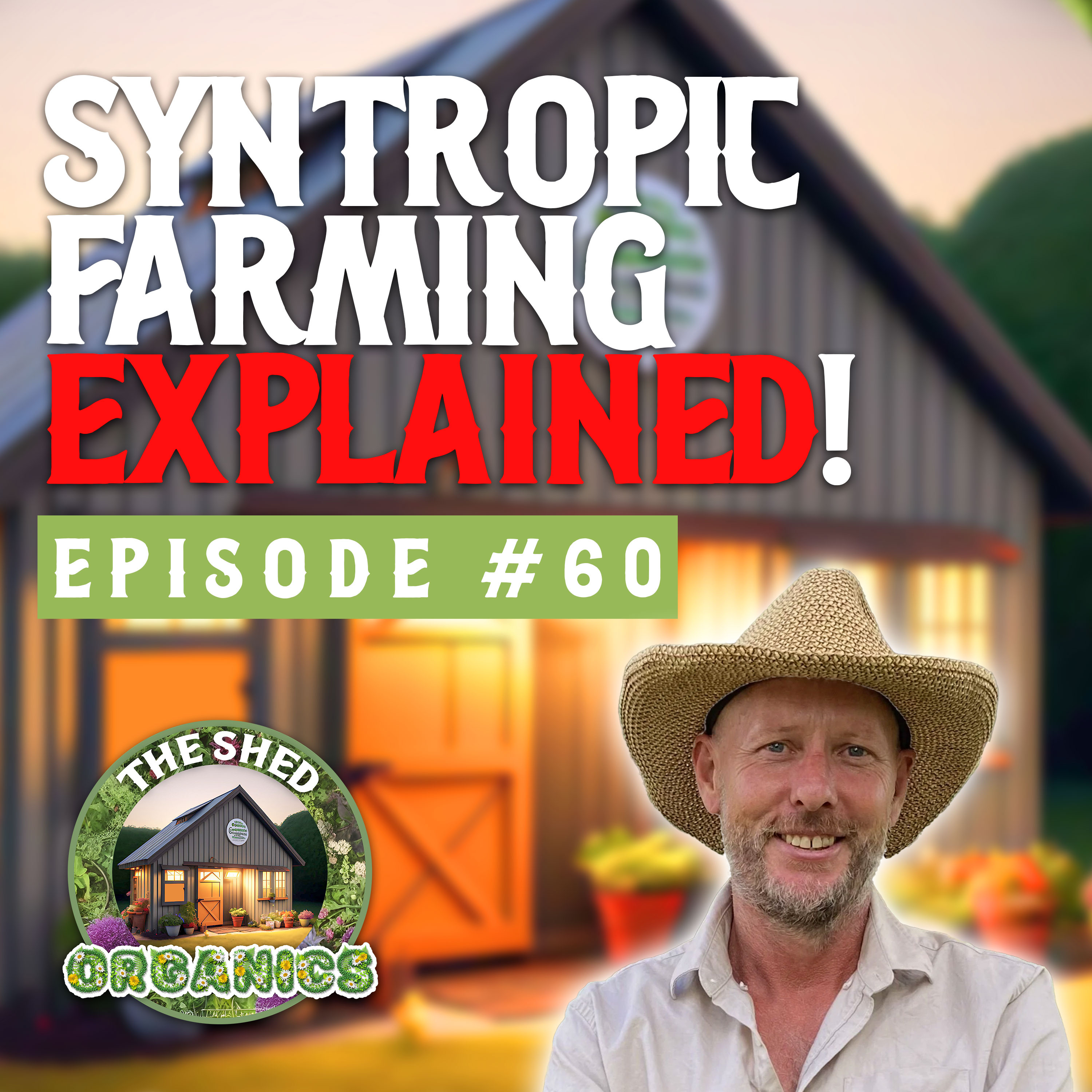 #60 – Syntropics & Agroforestry | Scott Hall [Syntropia]