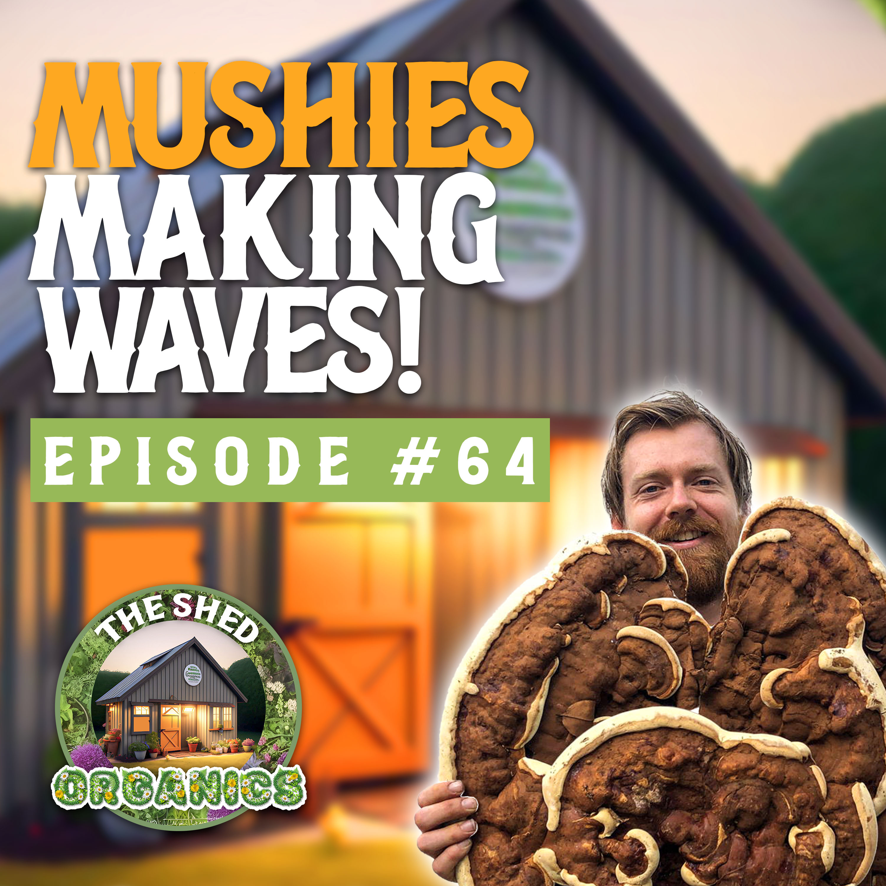 #64 - Growing Gourmet Medicinal Mushrooms | Mickey Pascoe [Little Acre] episode artwork