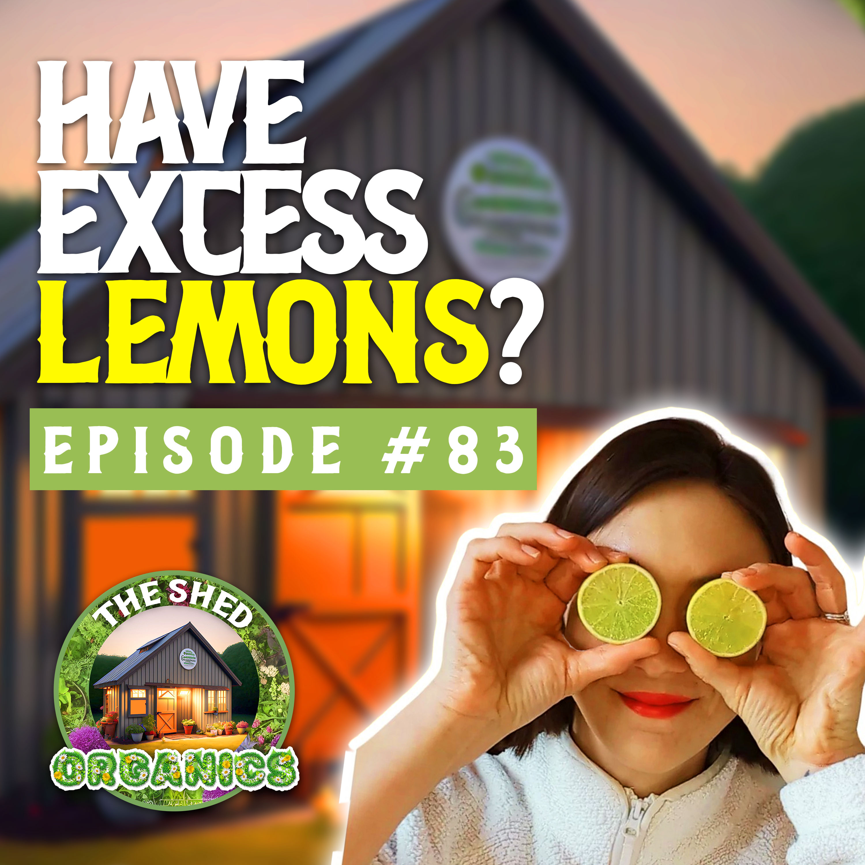#83 – When Life Gives You Extra Lemons | Lisa Redmond [Lemonshare]