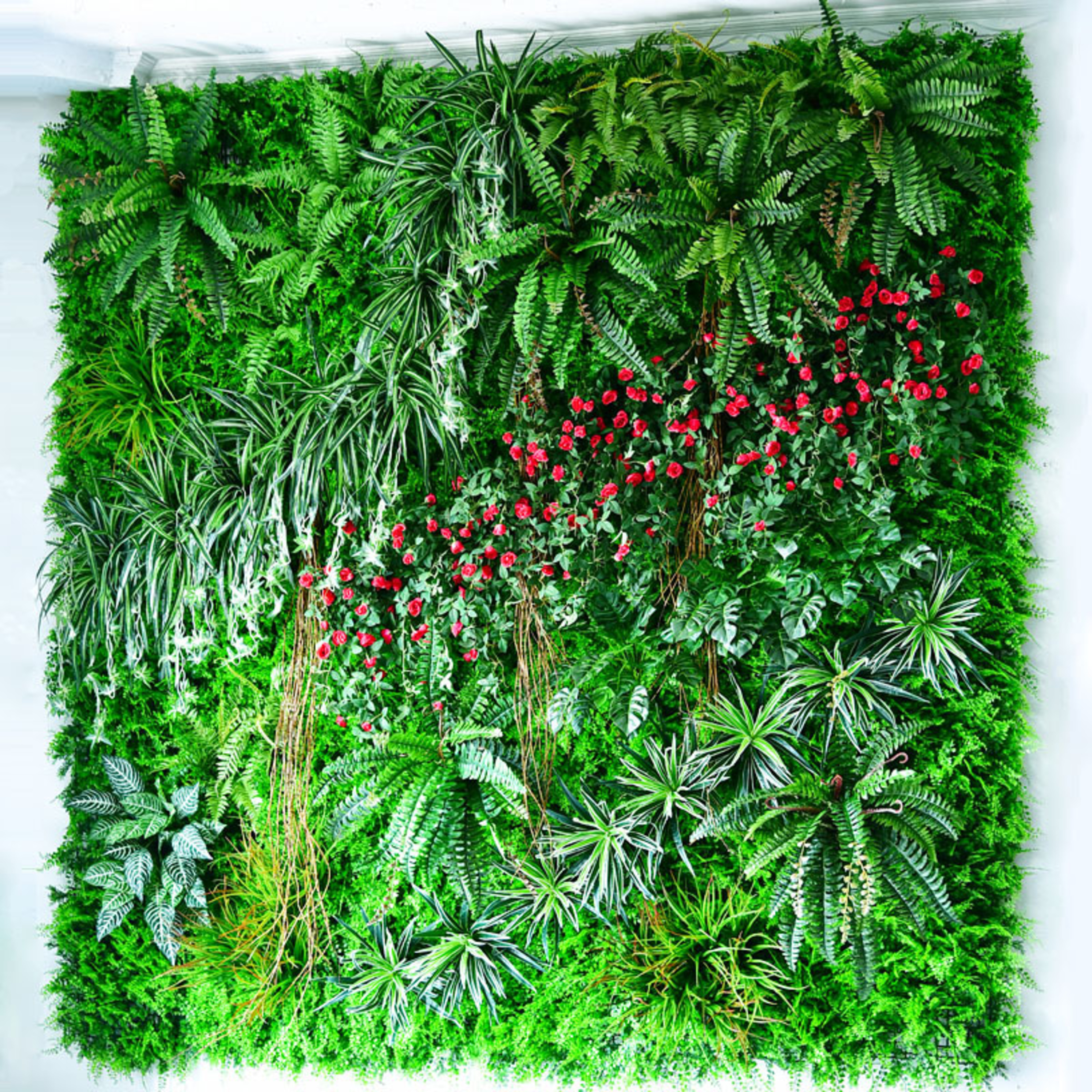 Lựa chọn tường cây giả phù hợp cho mọi không gian episode artwork