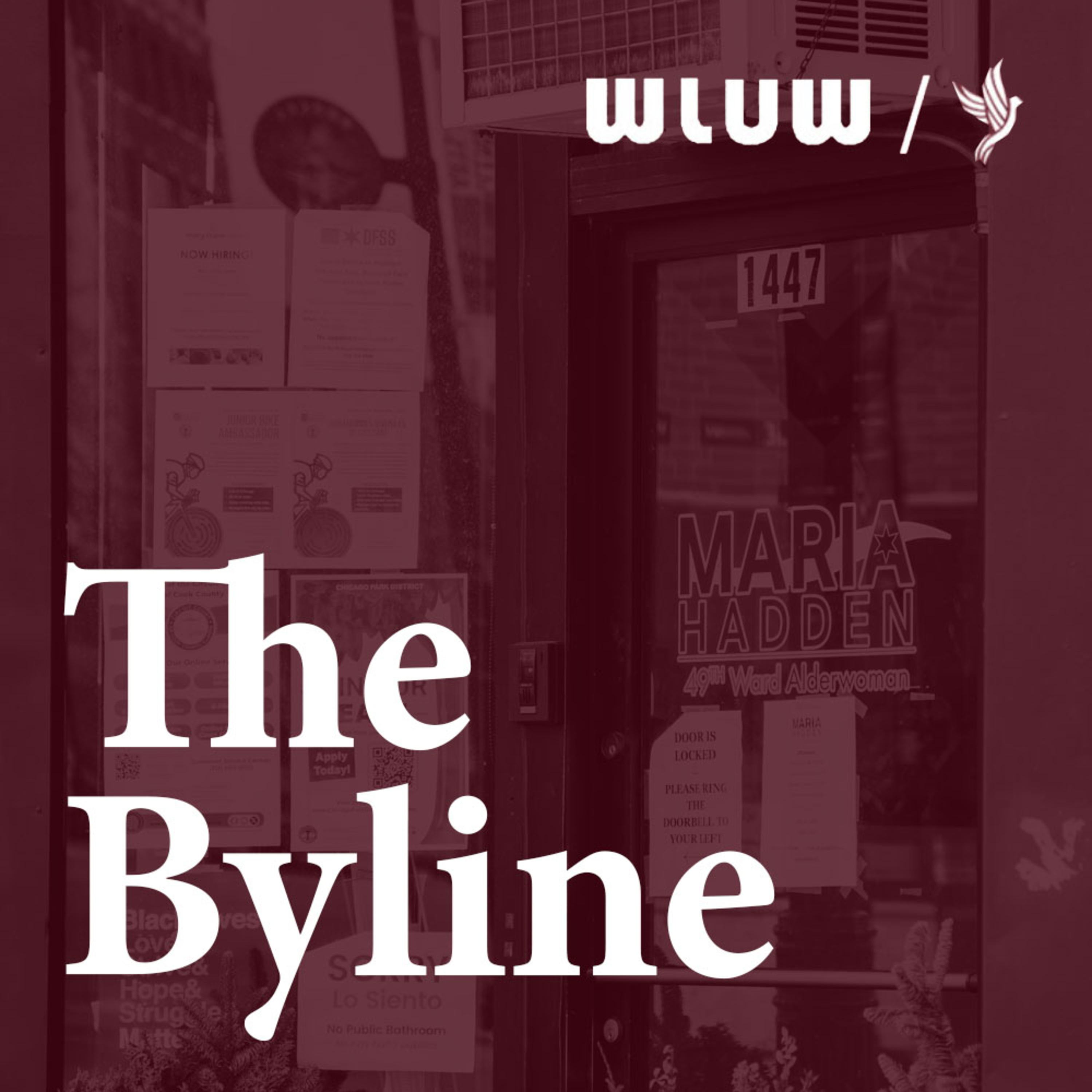 The Byline: Voting Open in the 49th Ward for the Participatory Budget episode artwork