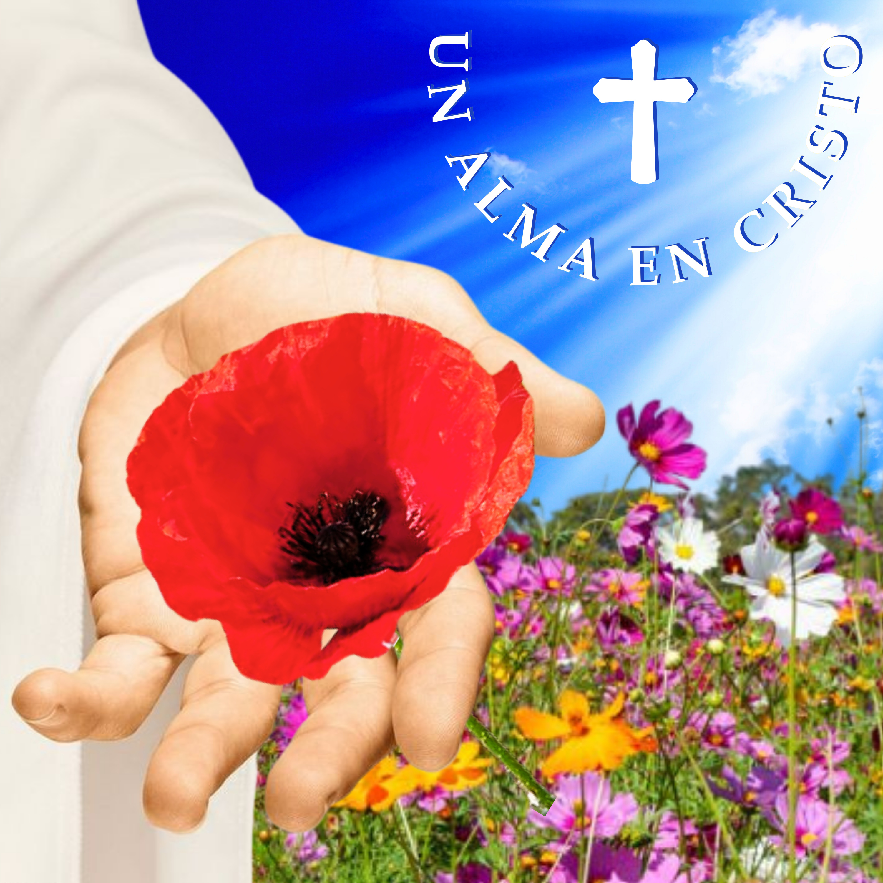Un alma en Cristo