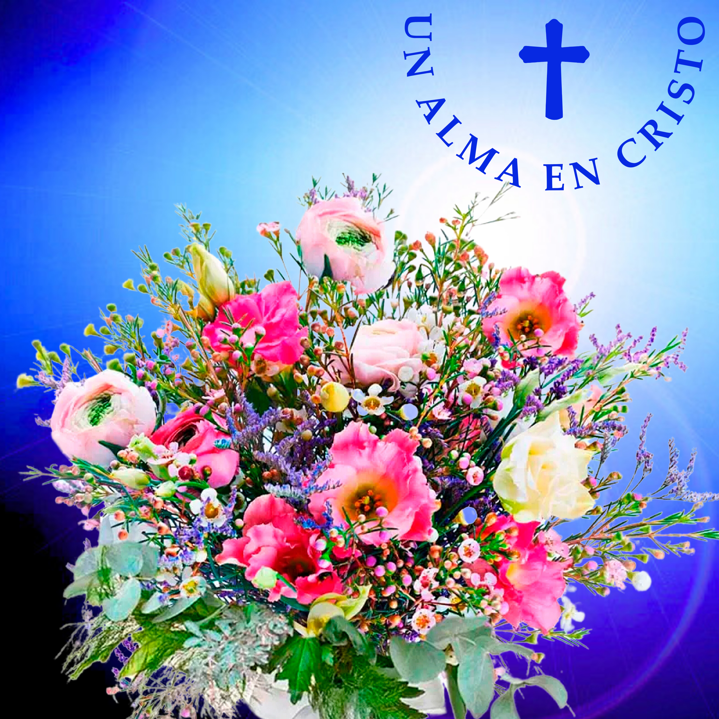 Un alma en Cristo