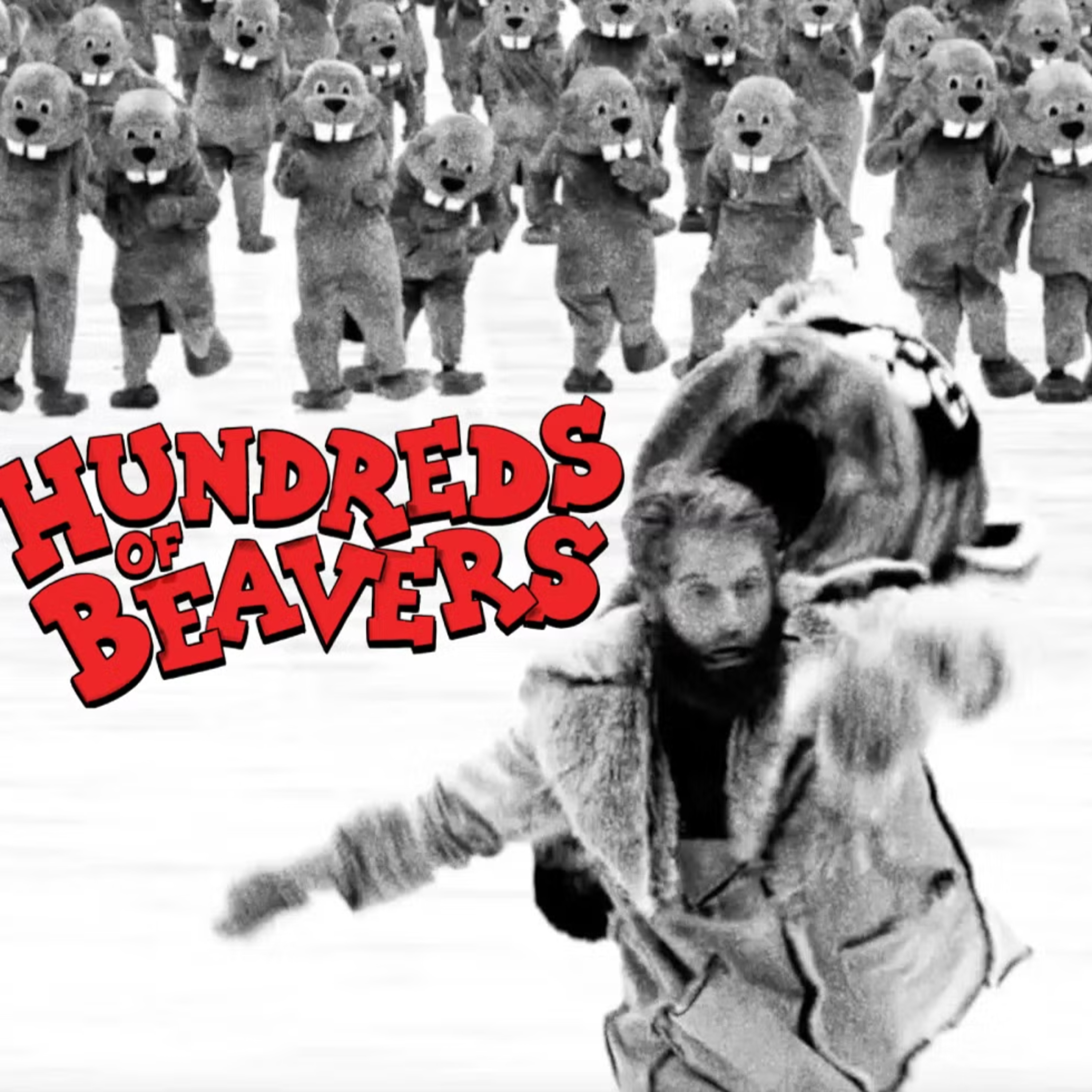 On jase presque de : Hundreds of Beavers