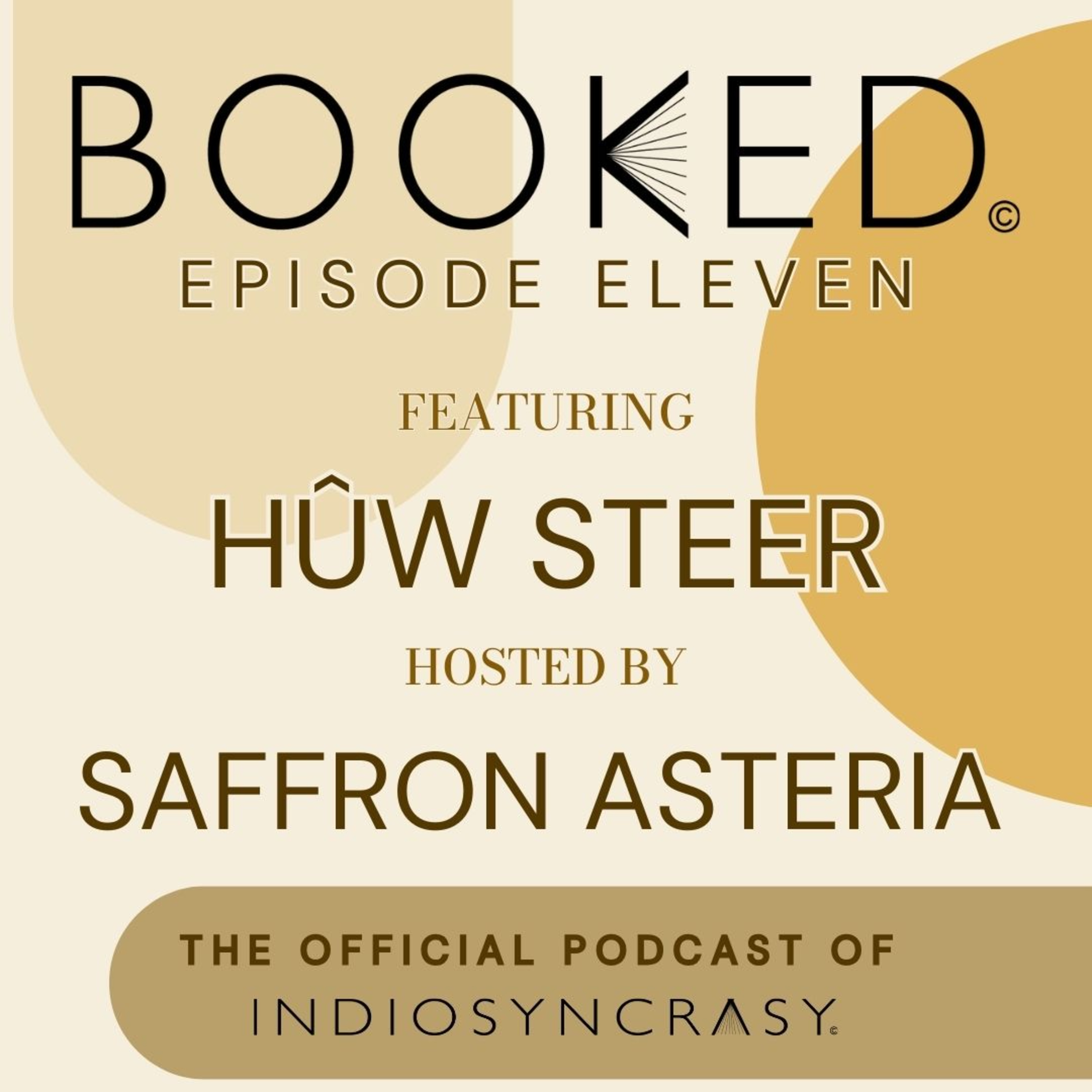 Episode Eleven with Hûw Steer | Indie Author Interview | Indiosyncrasy episode artwork