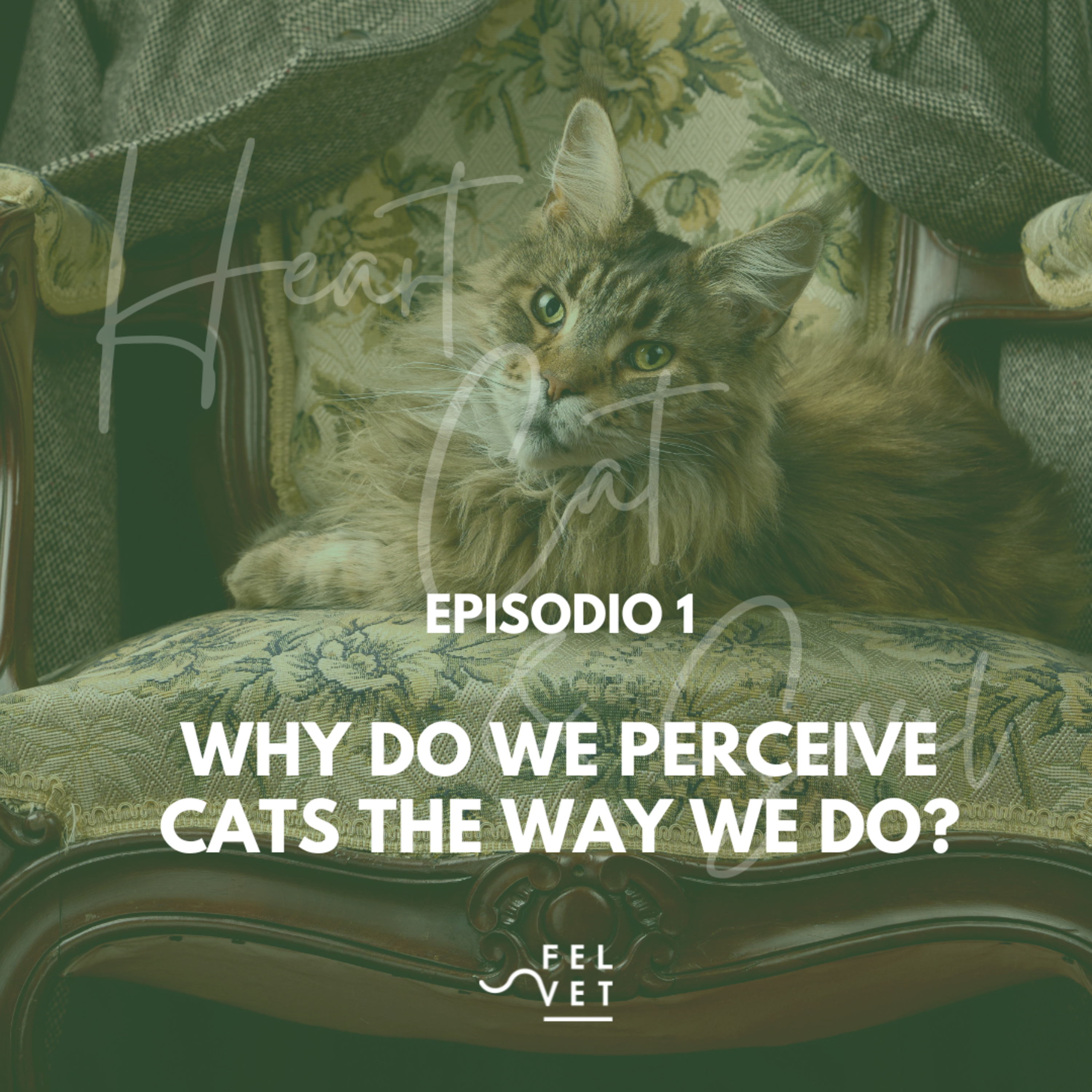 Heart, Cat and Soul - A Podcast about Cats