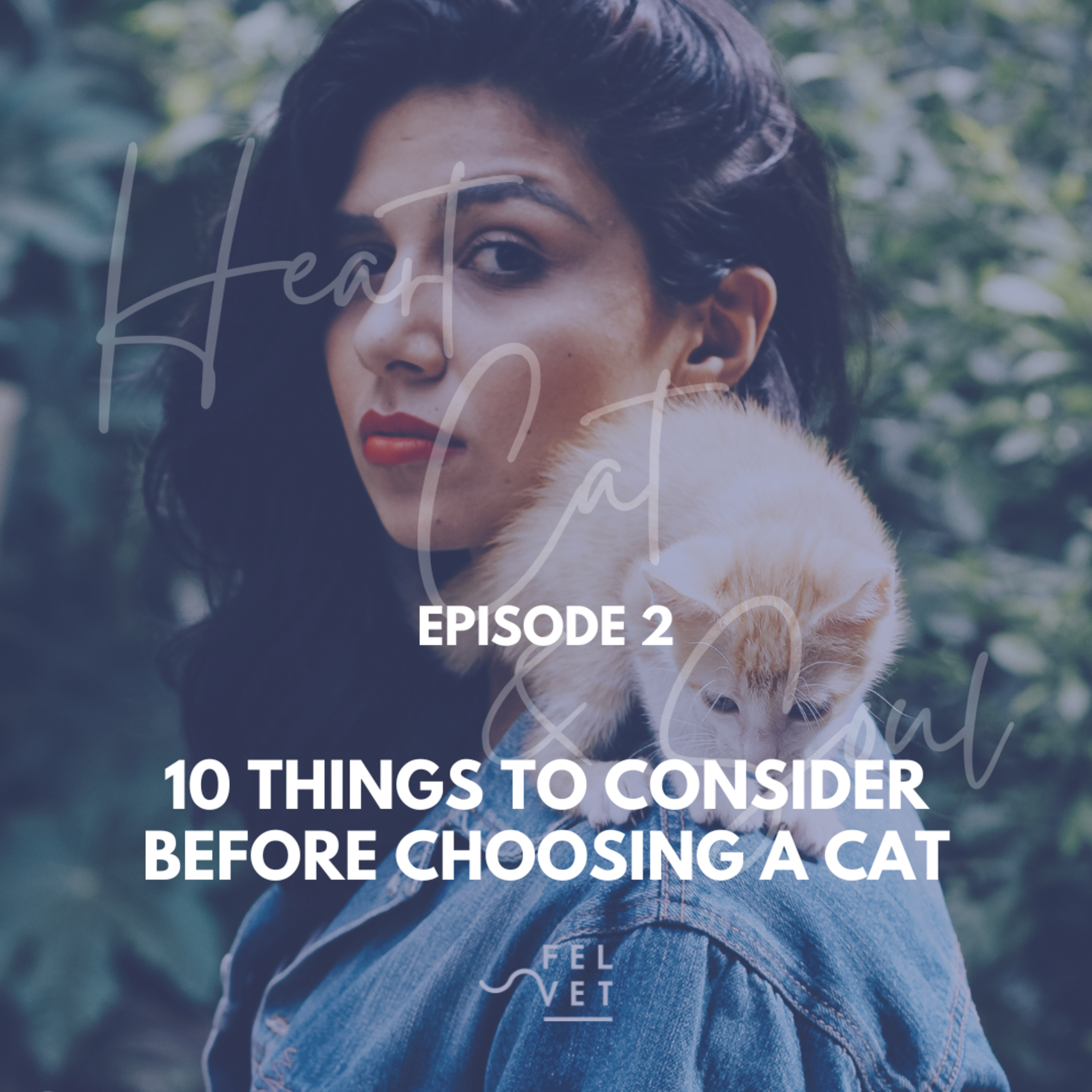 Heart, Cat and Soul - A Podcast about Cats