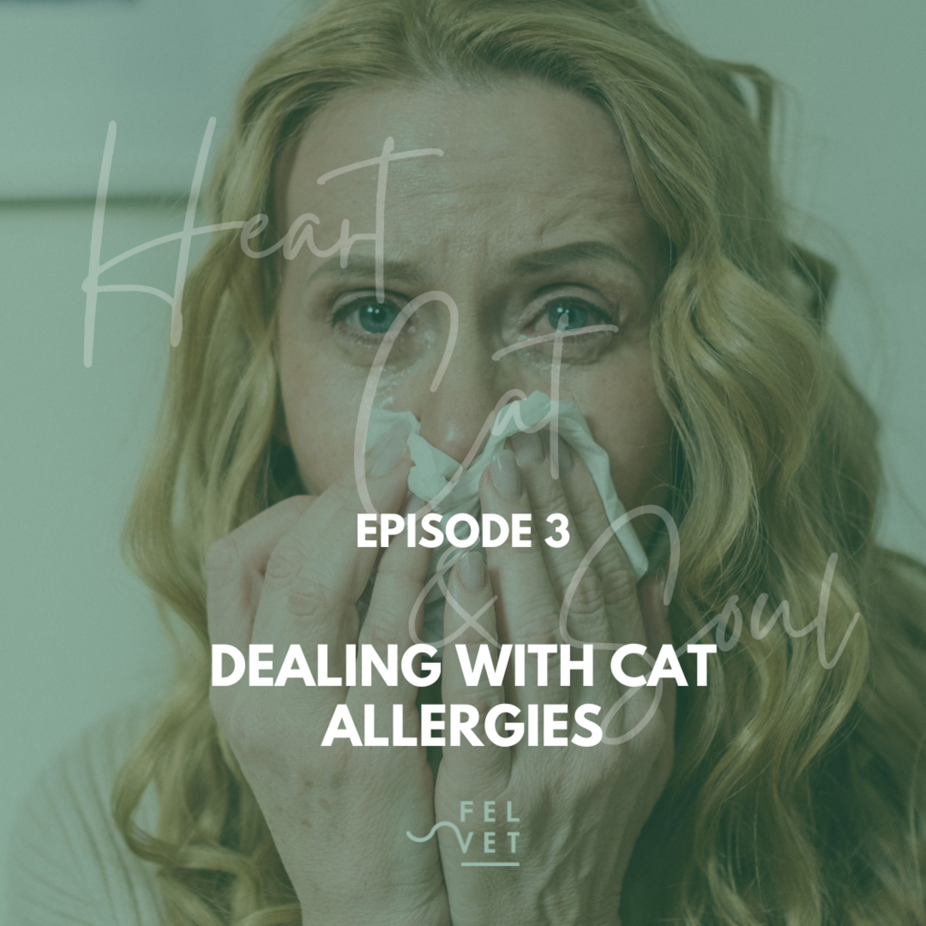 Heart, Cat and Soul - A Podcast about Cats