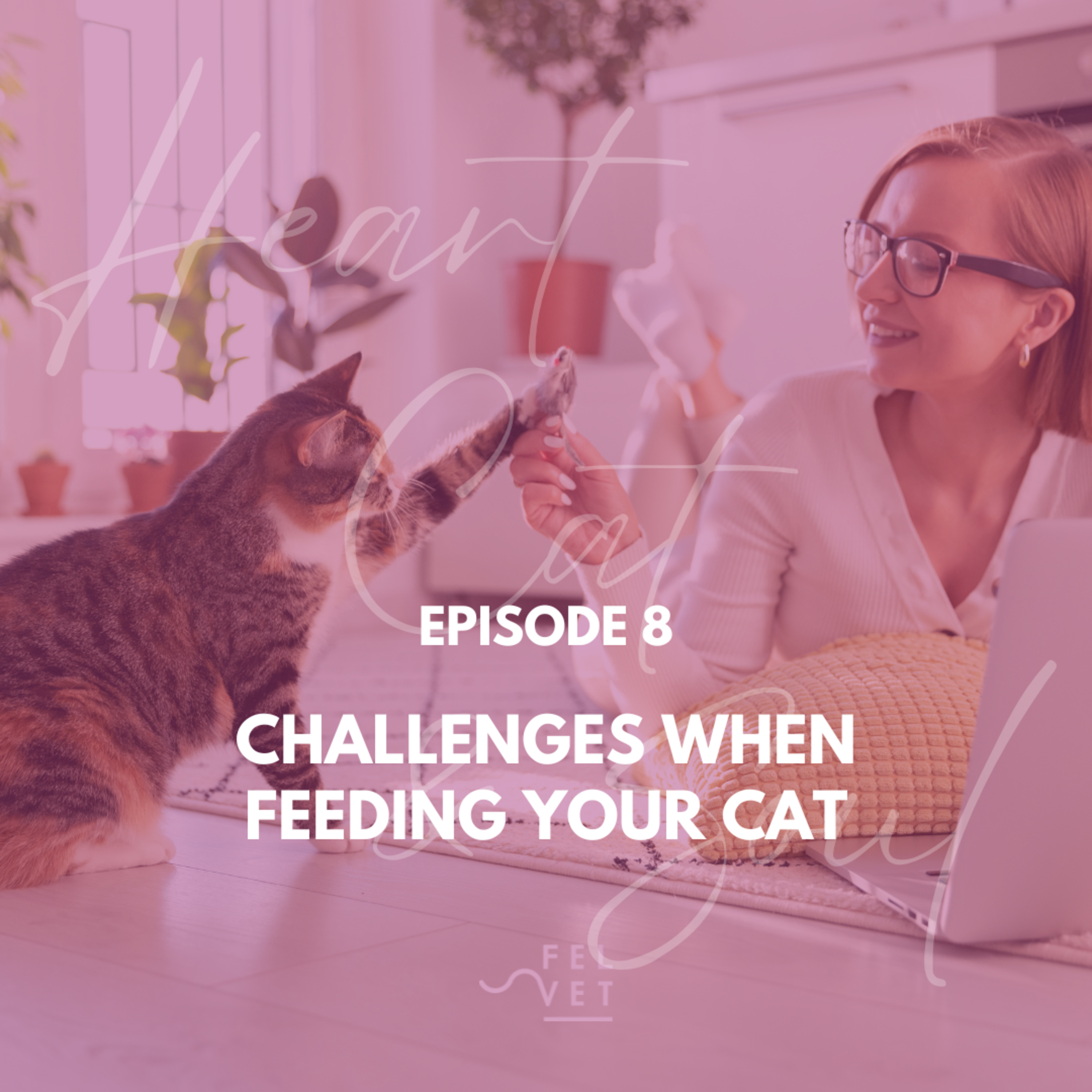 Heart, Cat and Soul - A Podcast about Cats